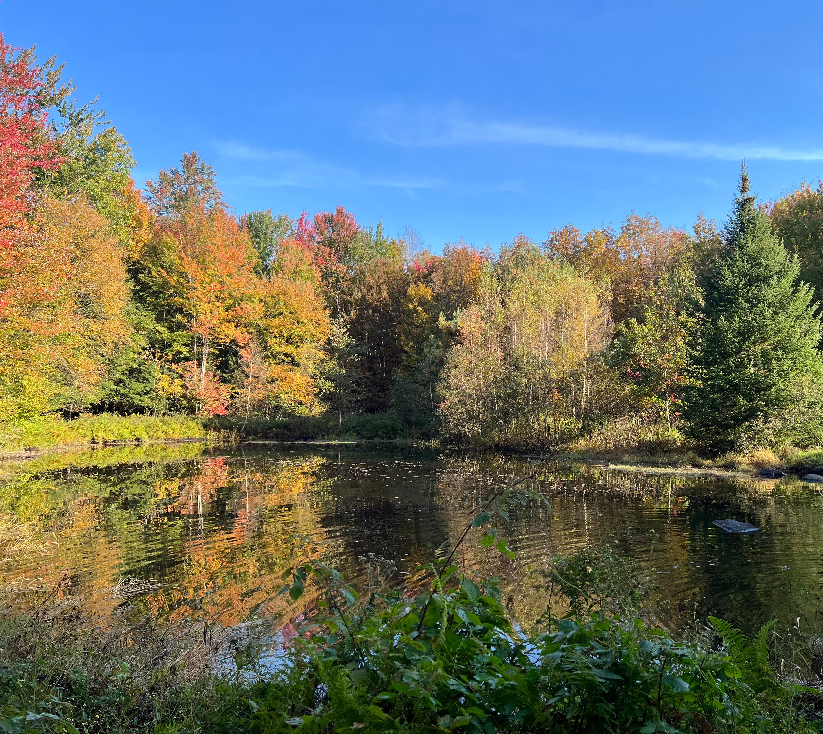 Capsule De Bonheur/ Piece of Heaven