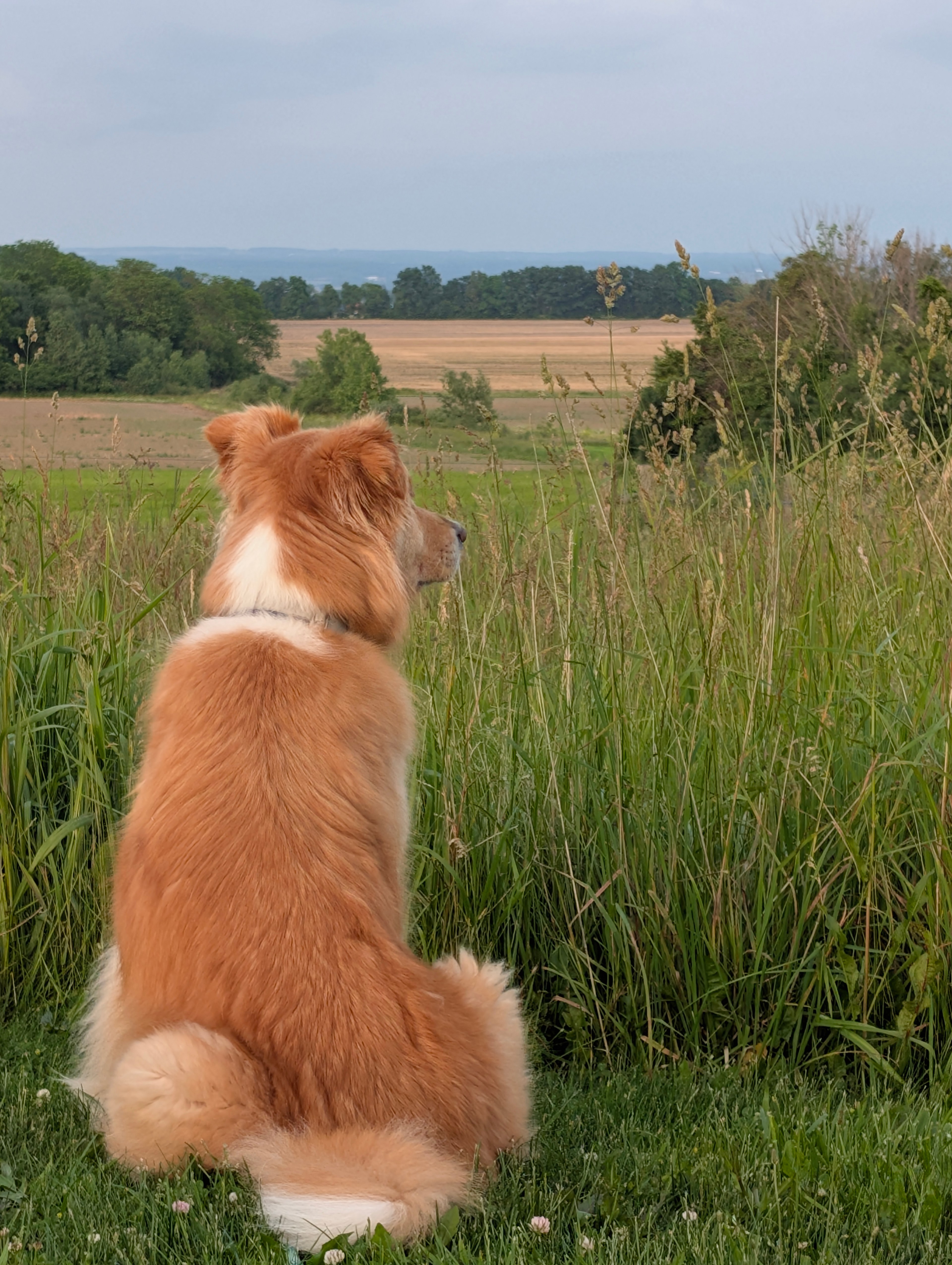 The views are amazing! 