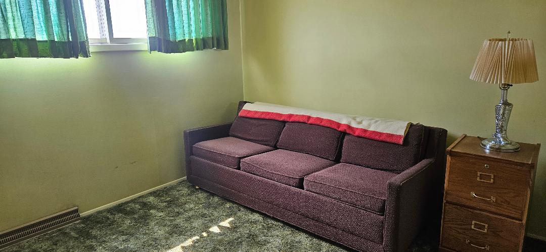 Queen fold out in own room.