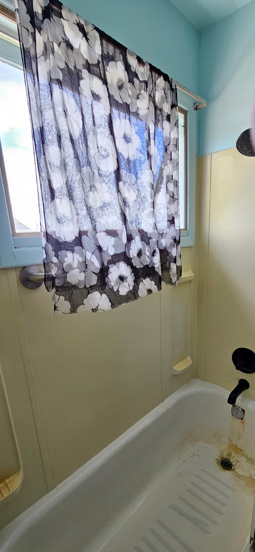 Shower and tub.