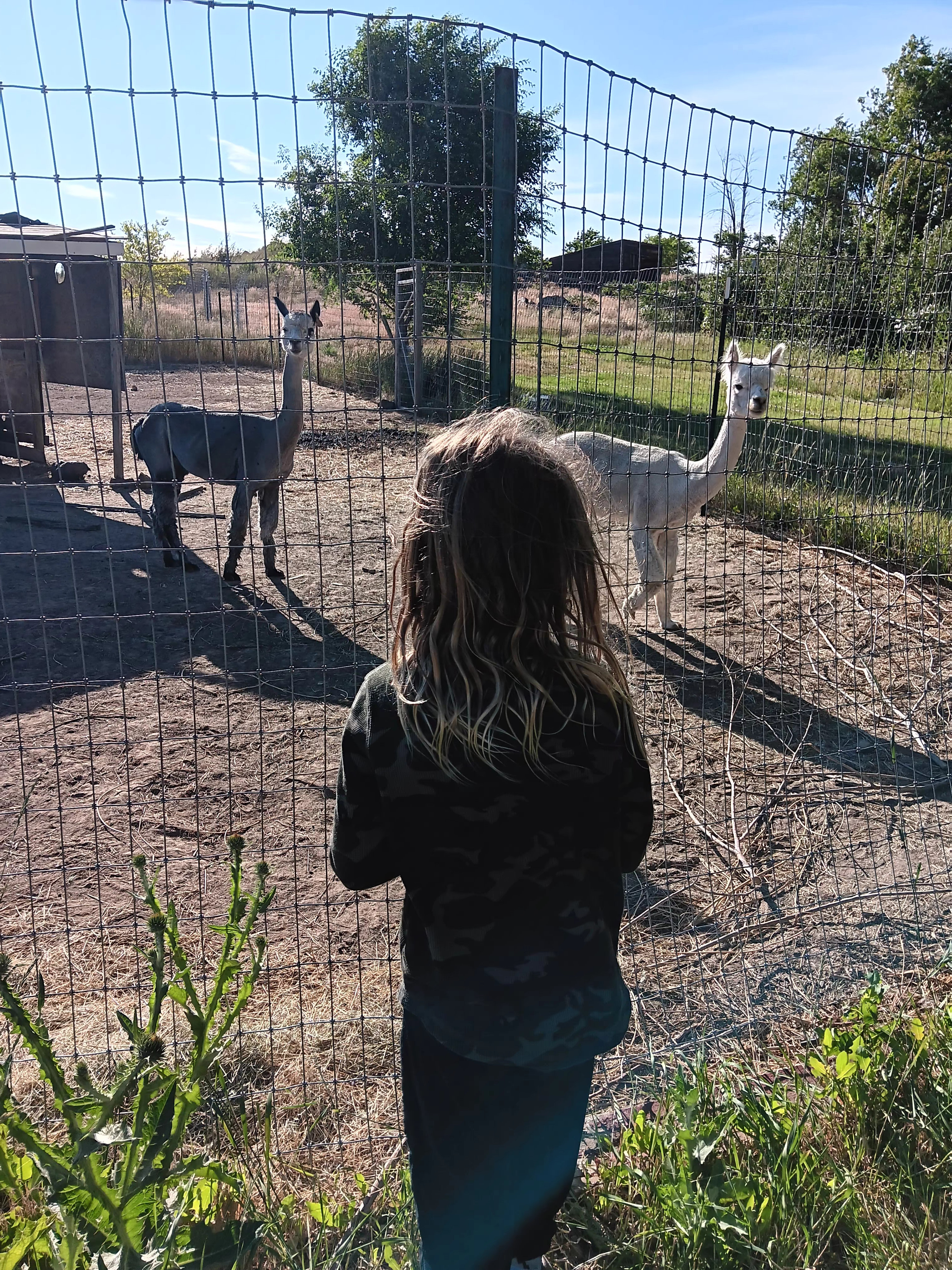The Cathaus at Yakima Beach