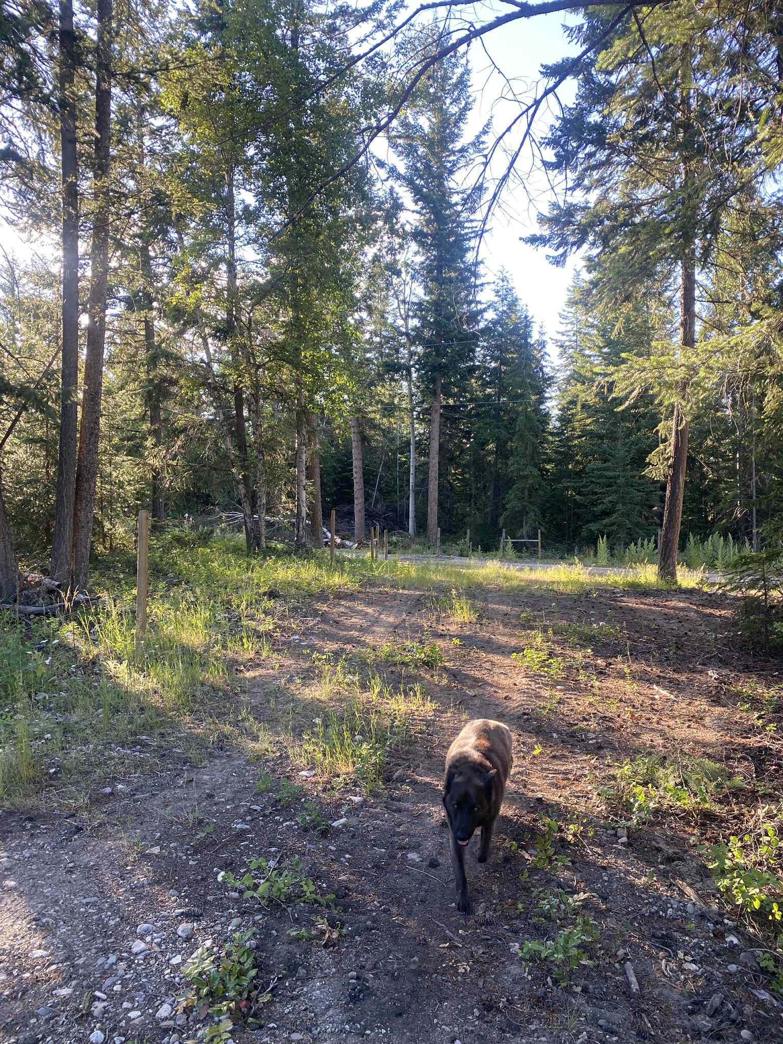 Canyon Creek Ranch Campground