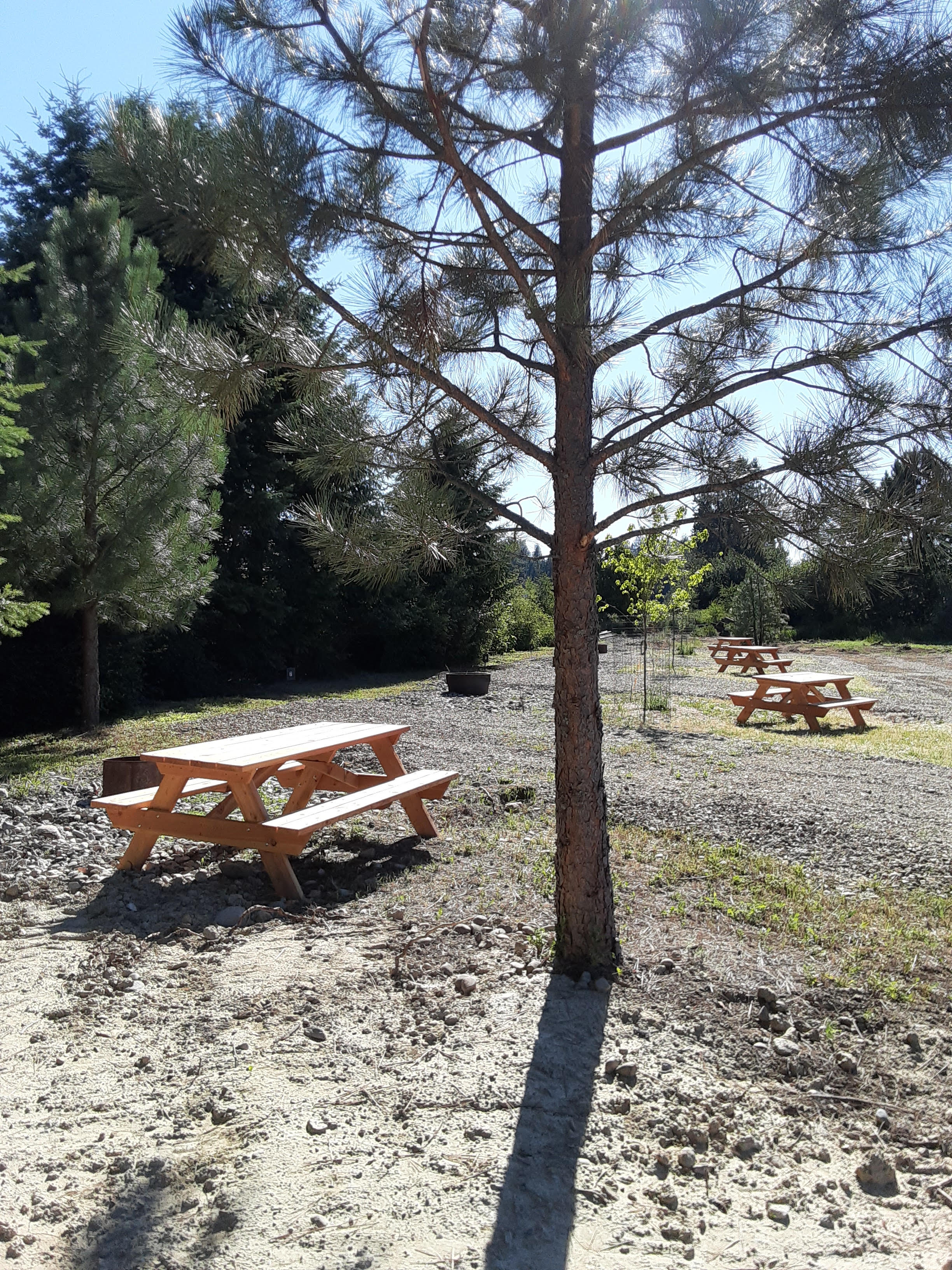 Mill Pond Camp Sites