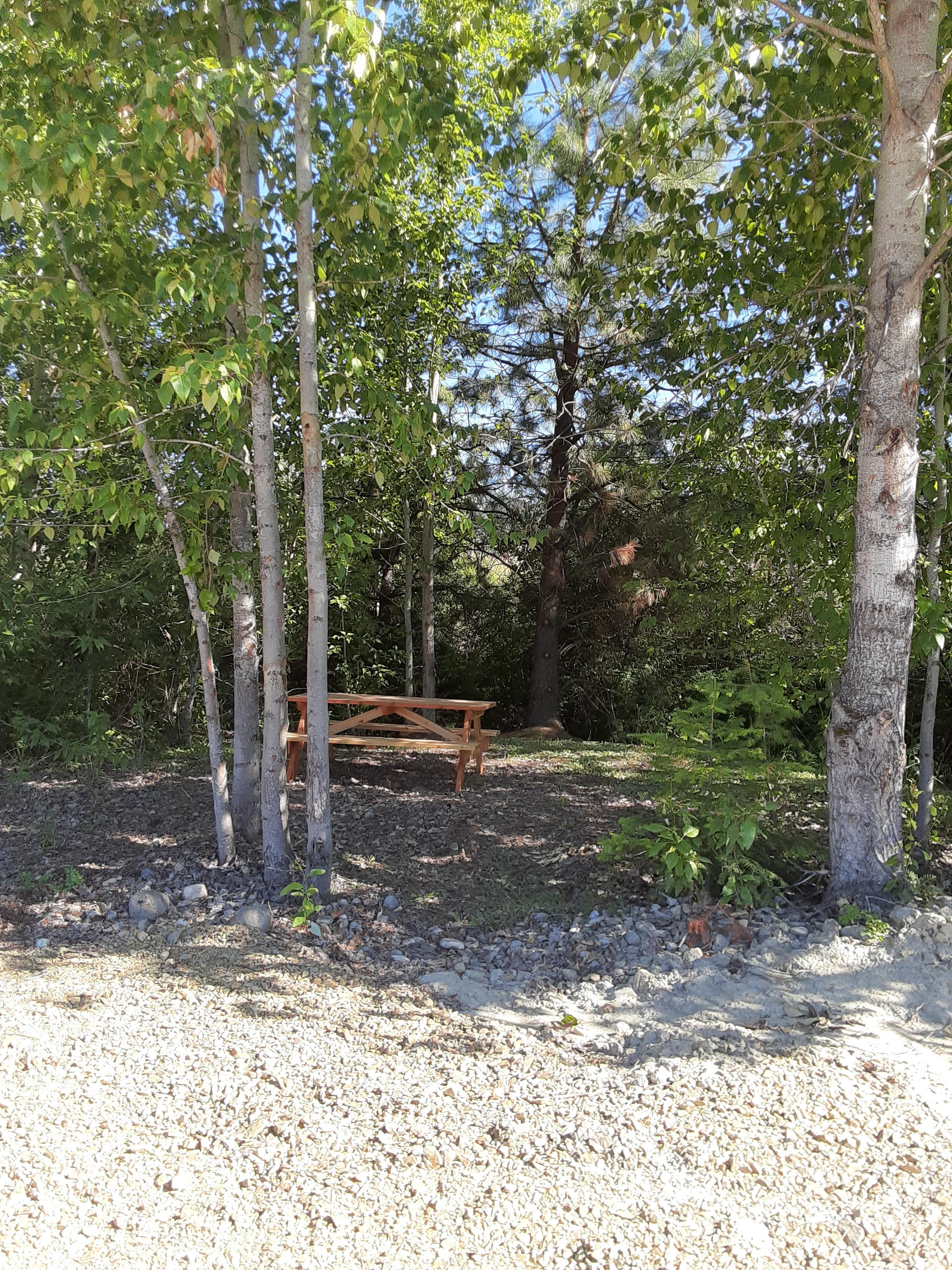 Mill Pond Camp Sites