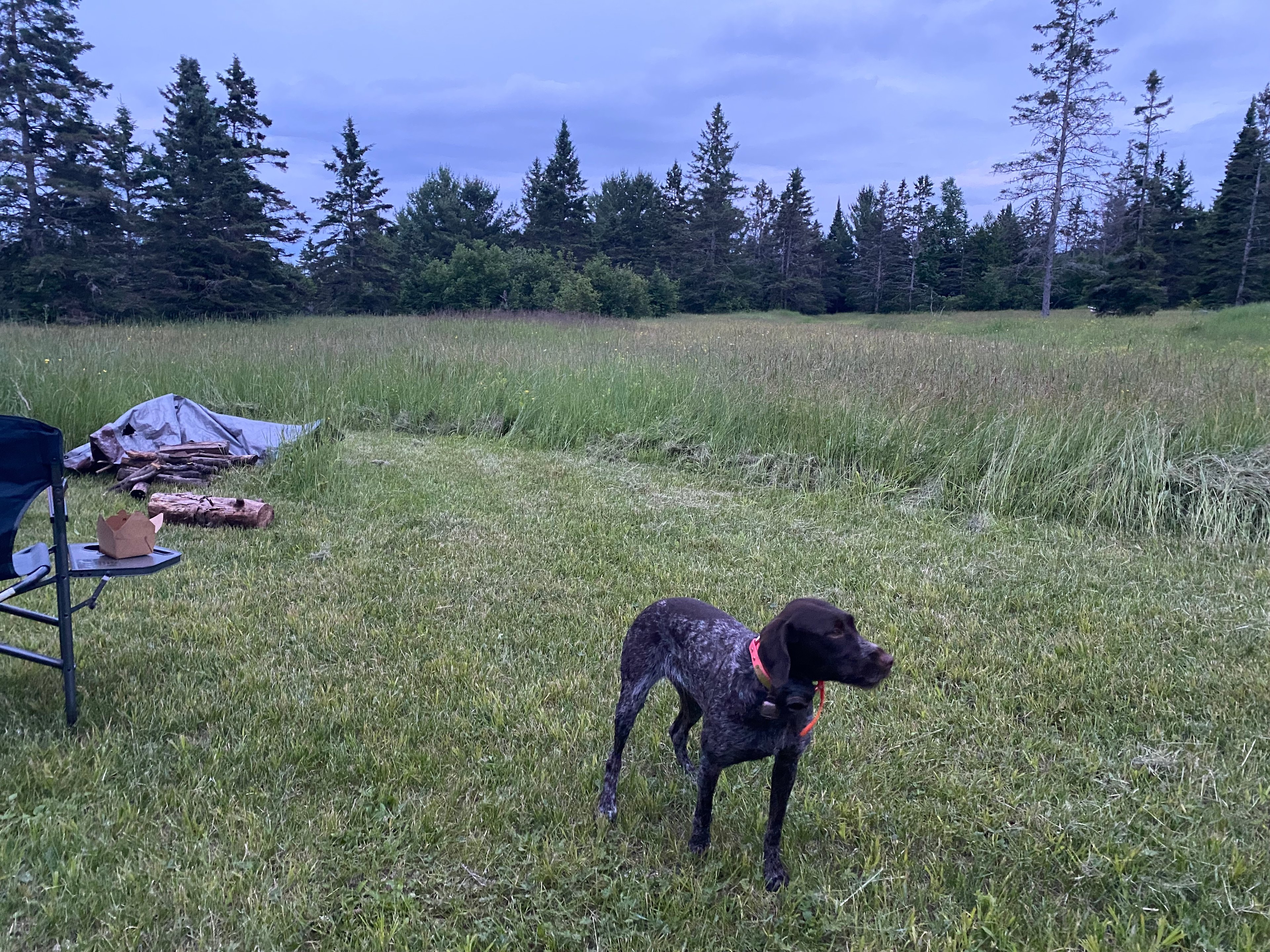 Sault Ste Marie 12 Mile Rd Campsite