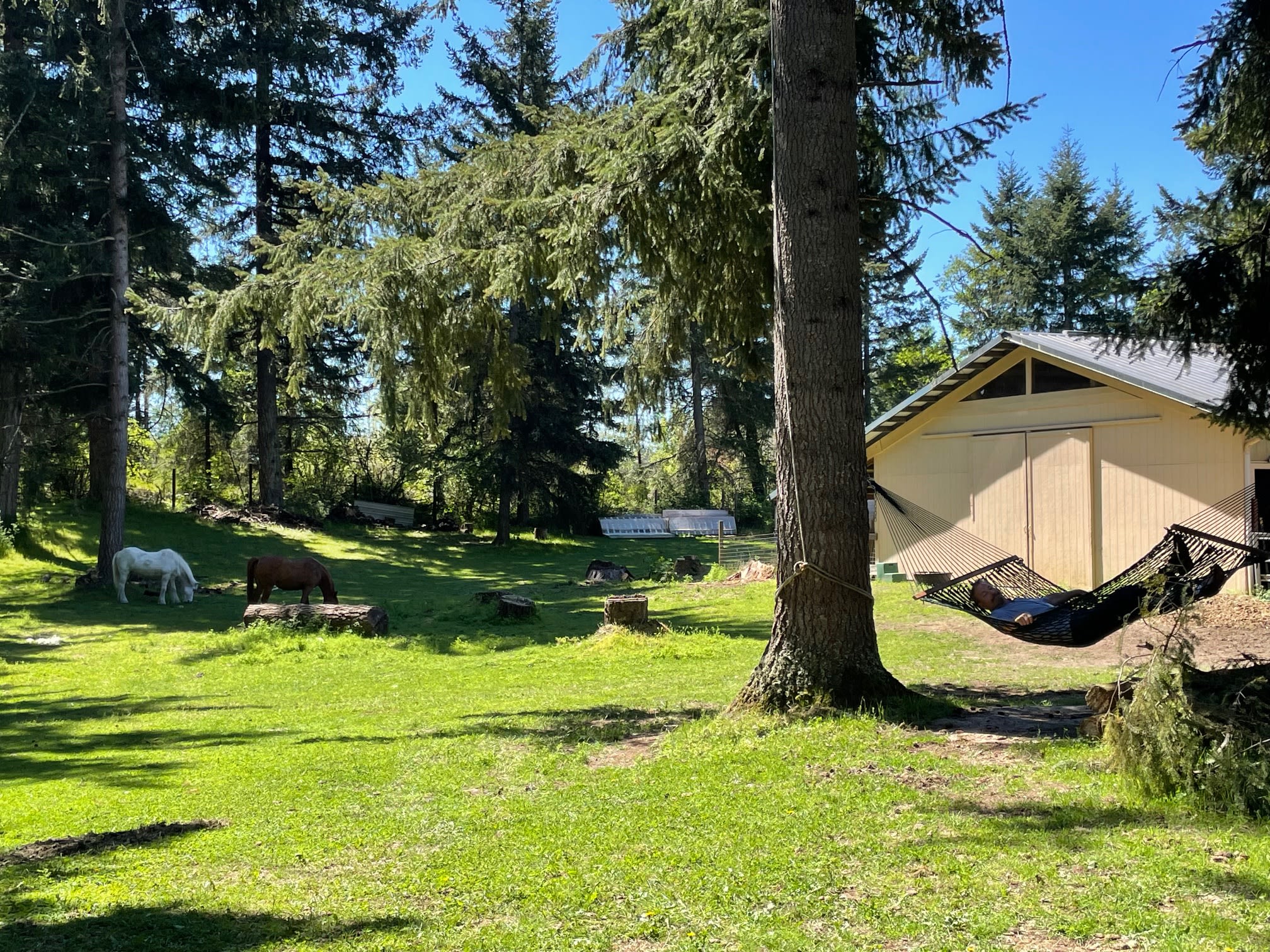 Country Refuge Close to City