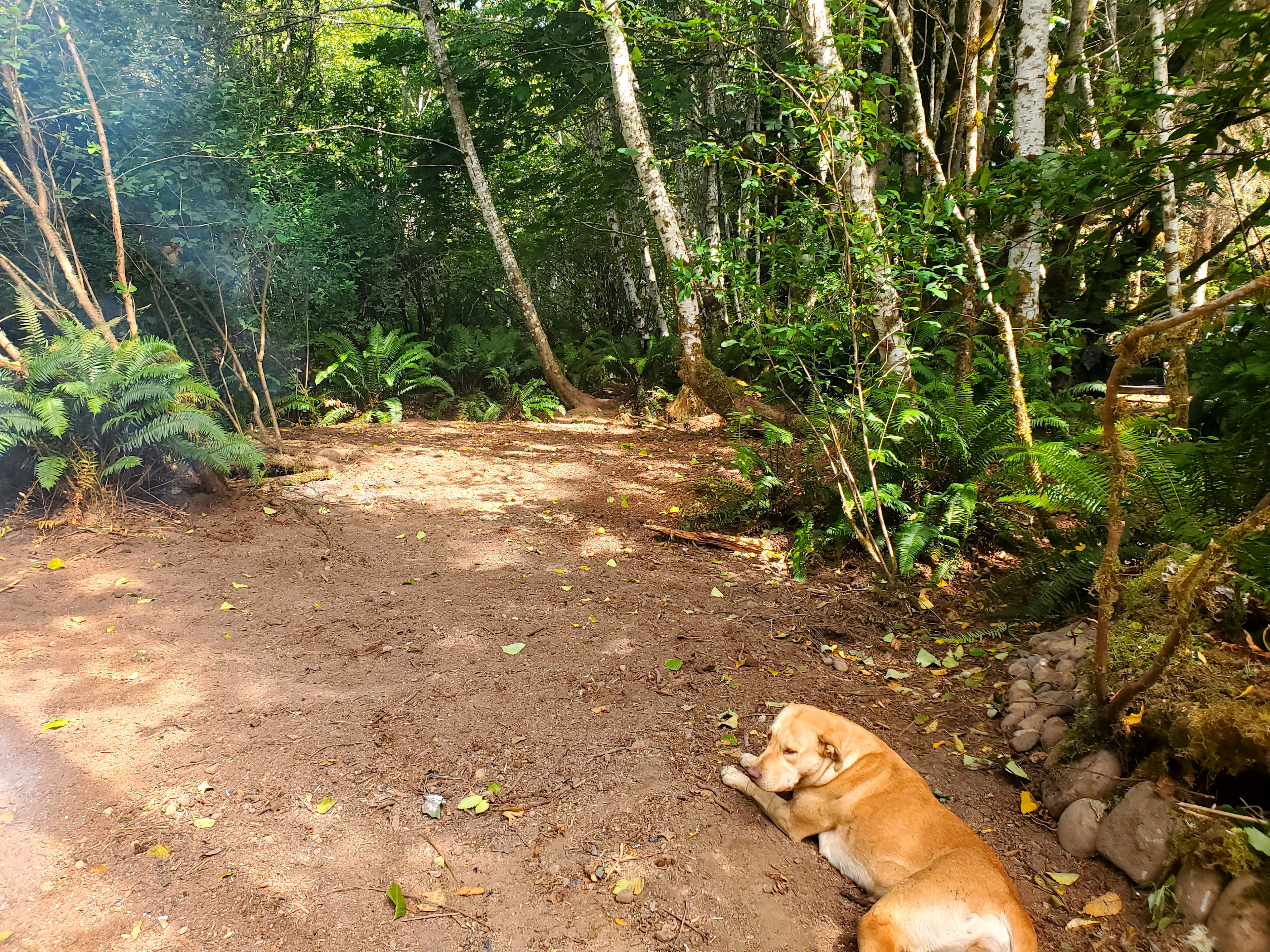 Weekend Warriors New Location