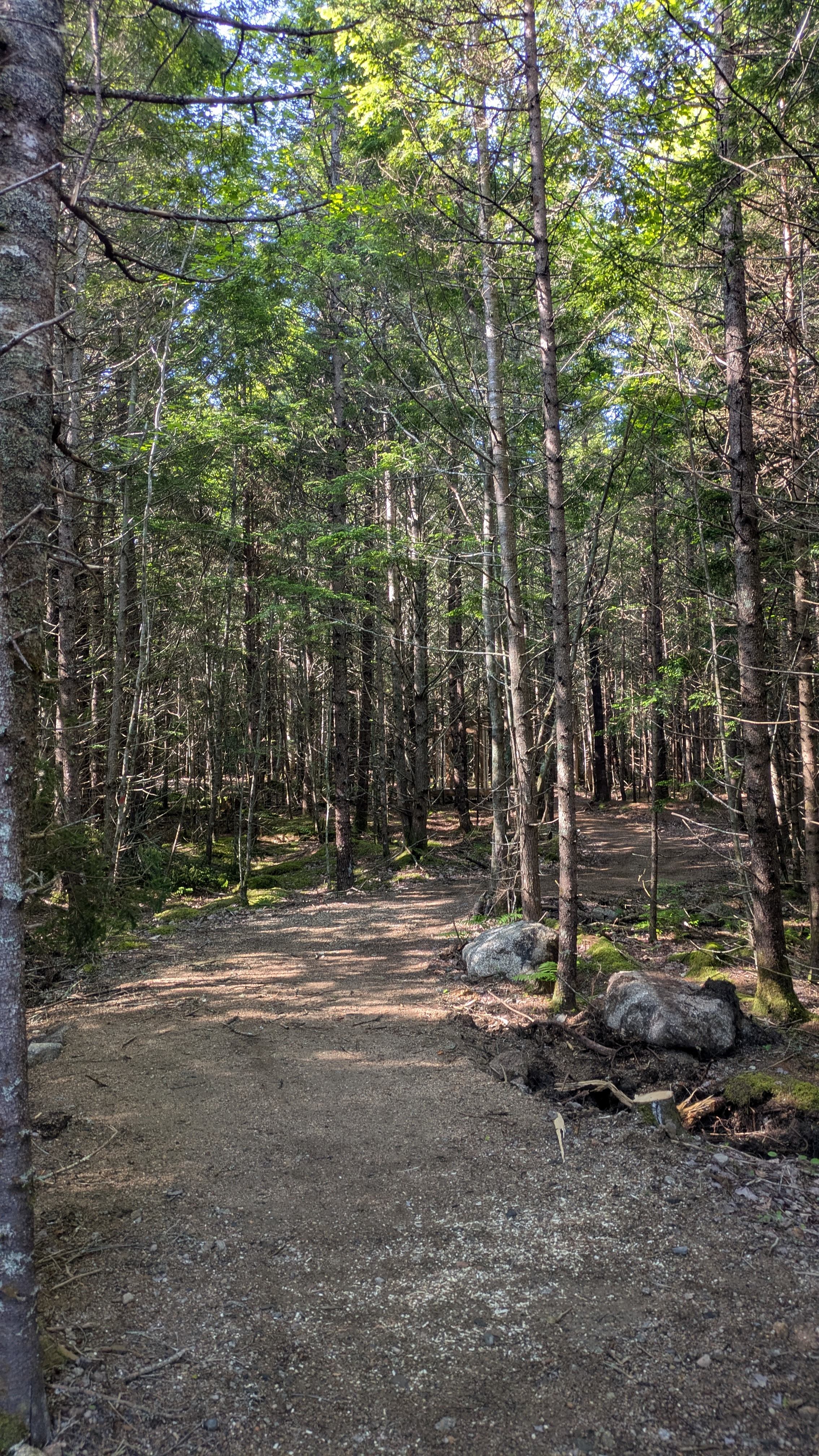 Medway Community Forest Campground