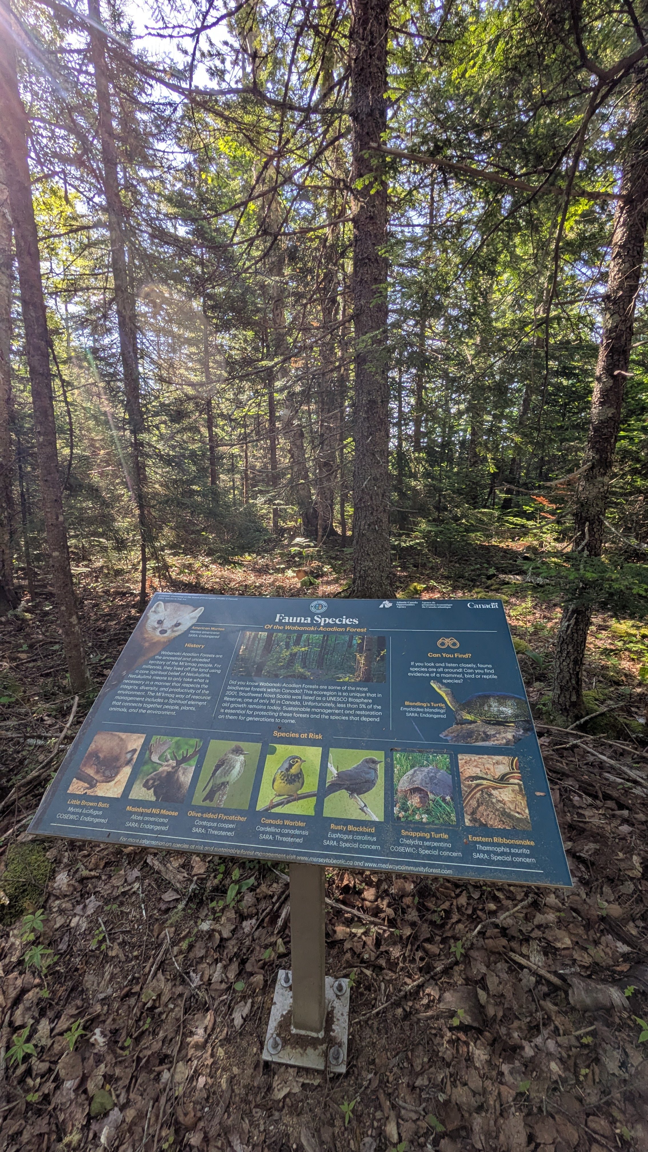 Stave Lake Self-Service Campground
