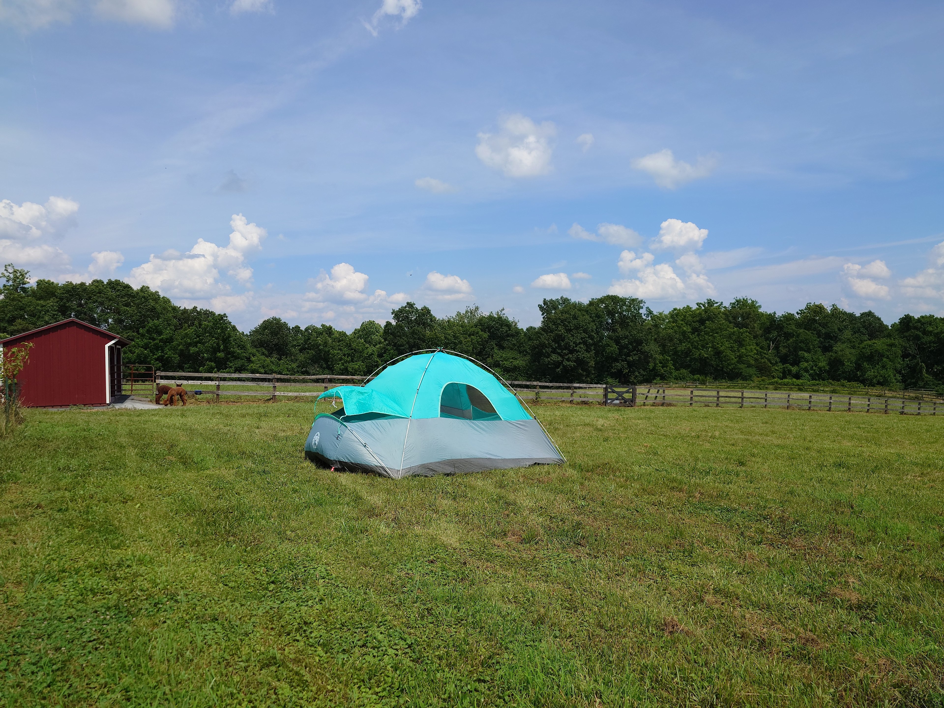 Alpaca acres dry lot camping