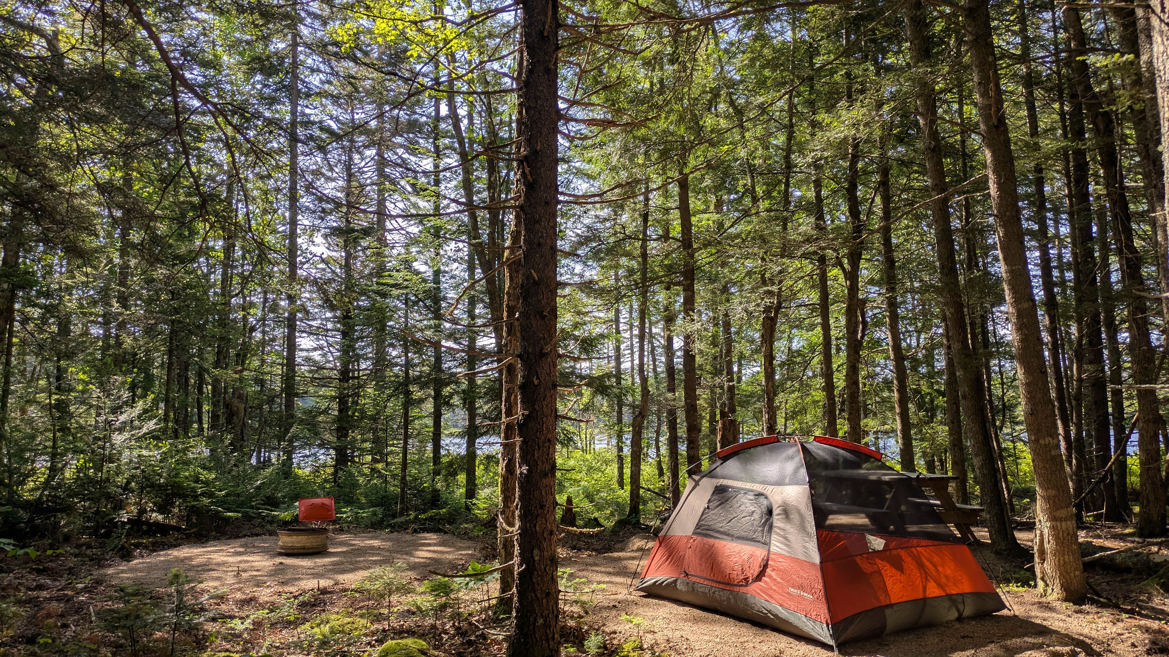 Medway Community Forest Campground
