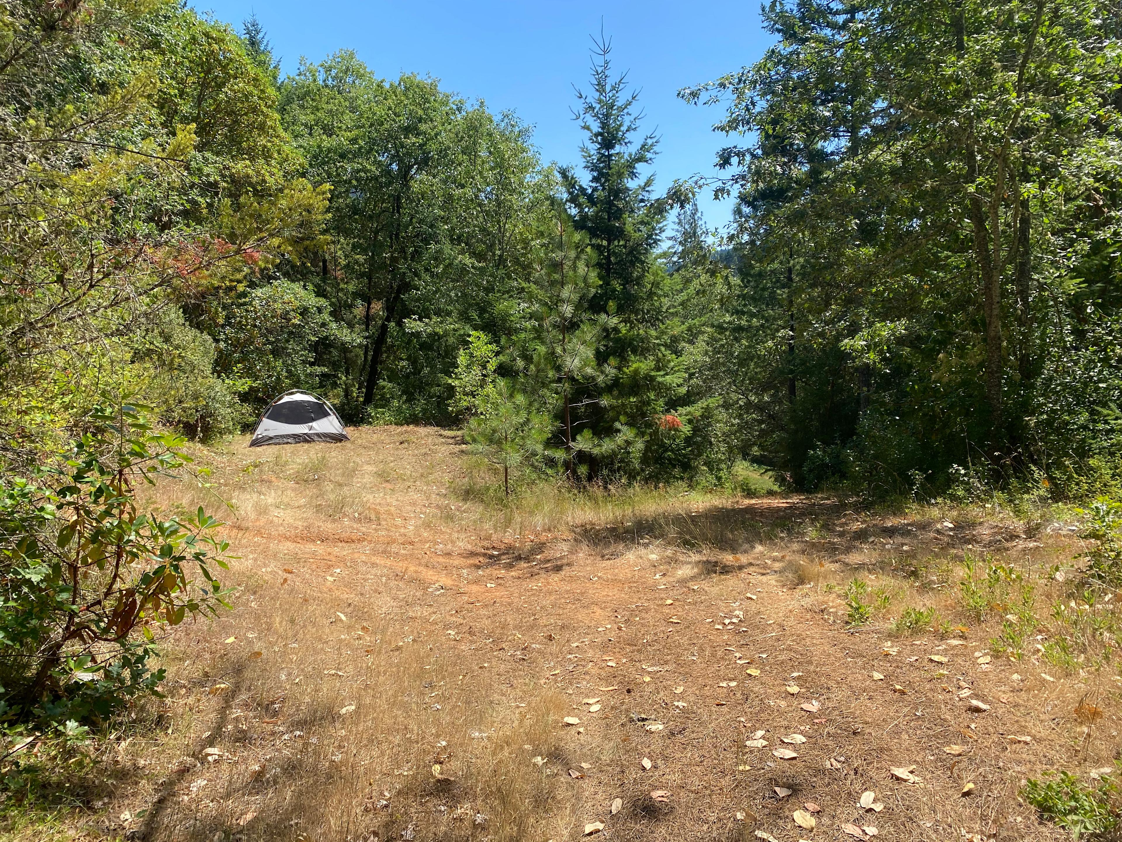 Madrone’s Midway Landing