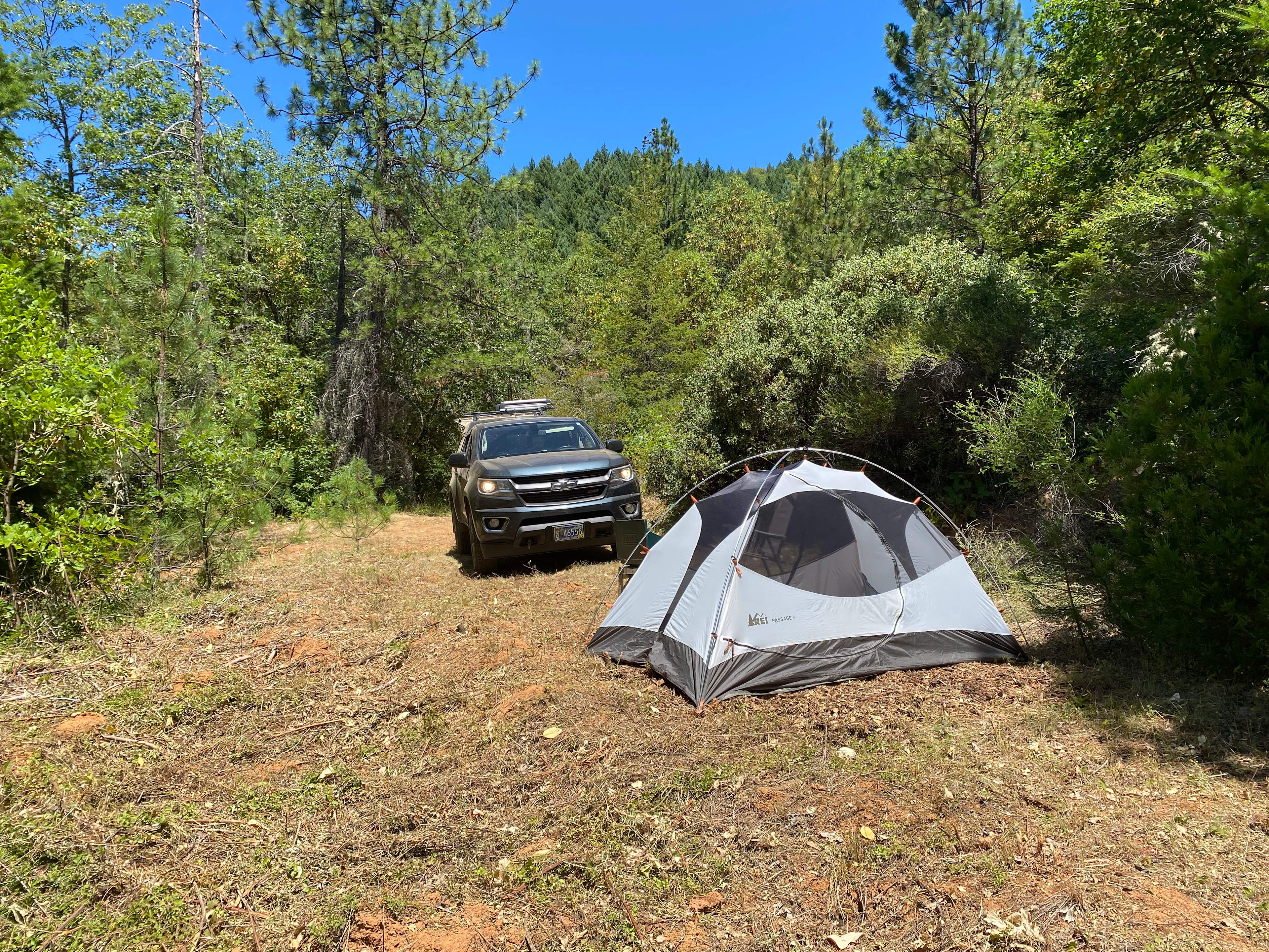 Madrone’s Midway Landing