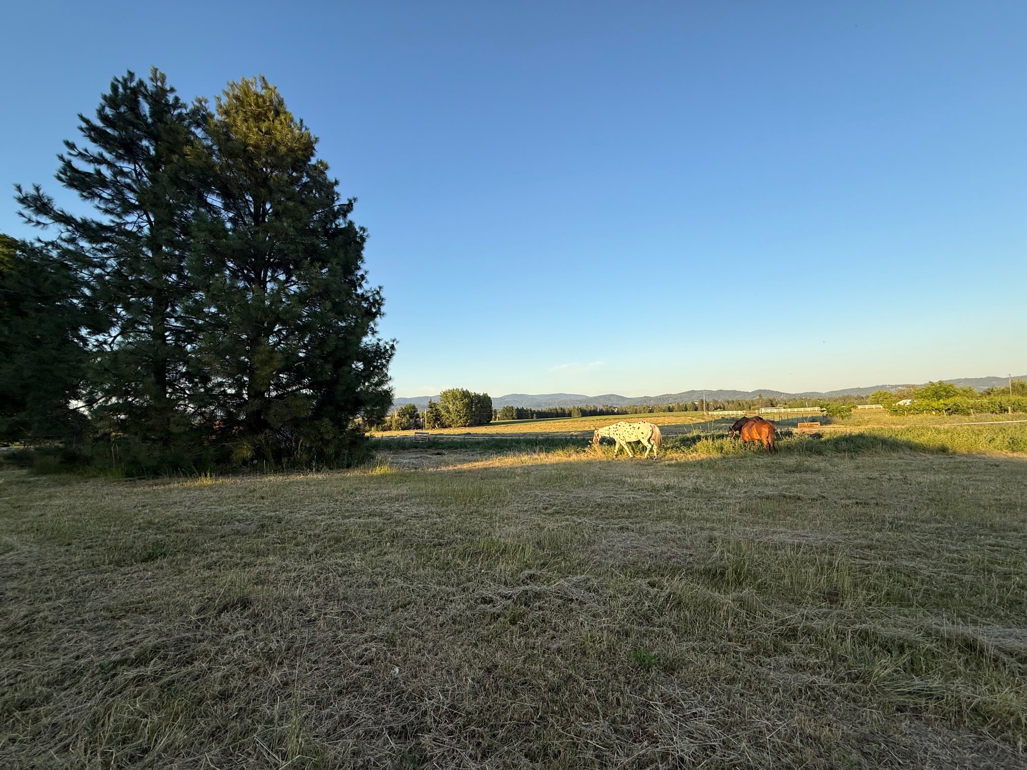 Mountain View Venue @ Bluff Dweller