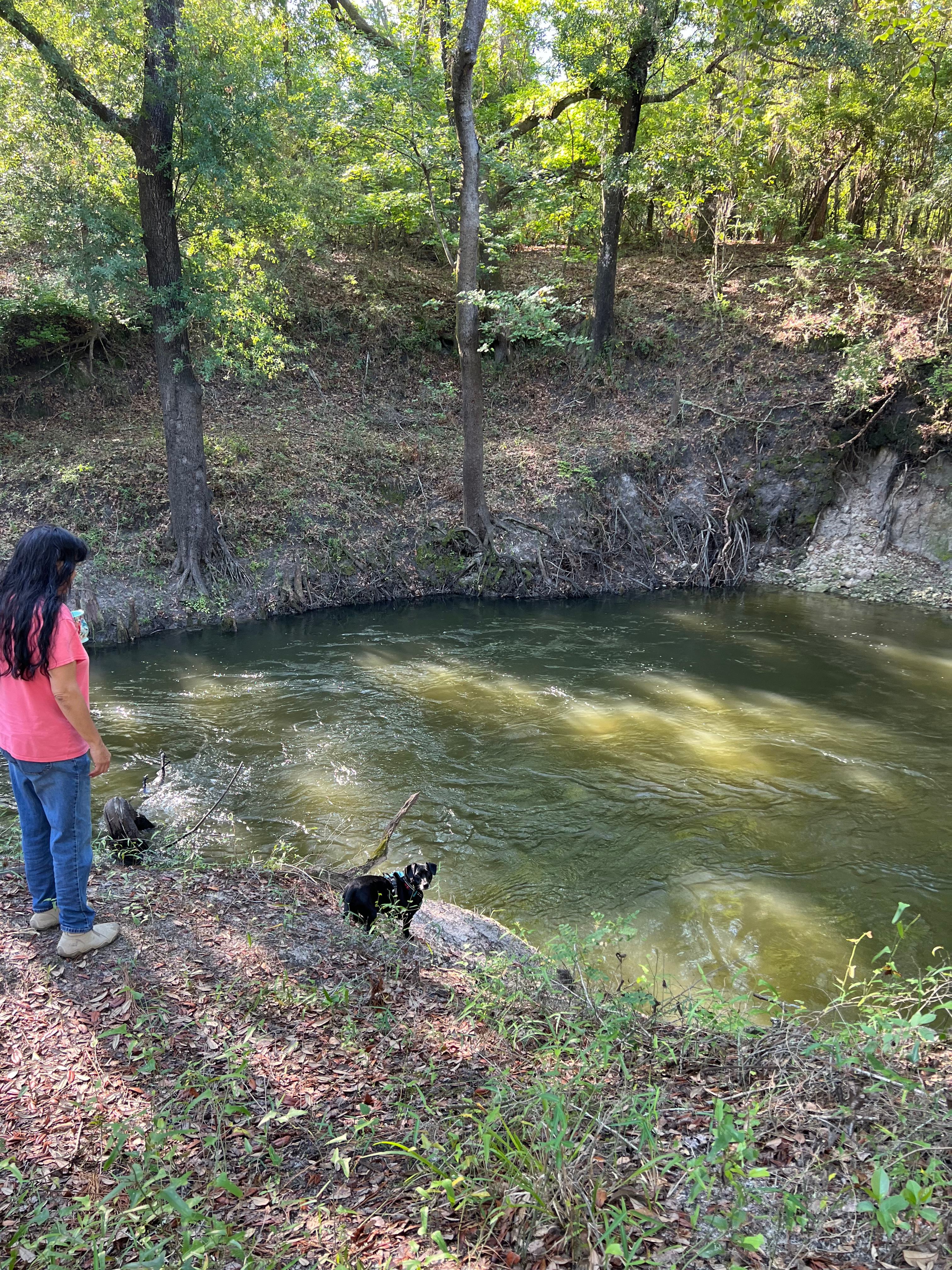 Family & Pet Friendly RV/Campground