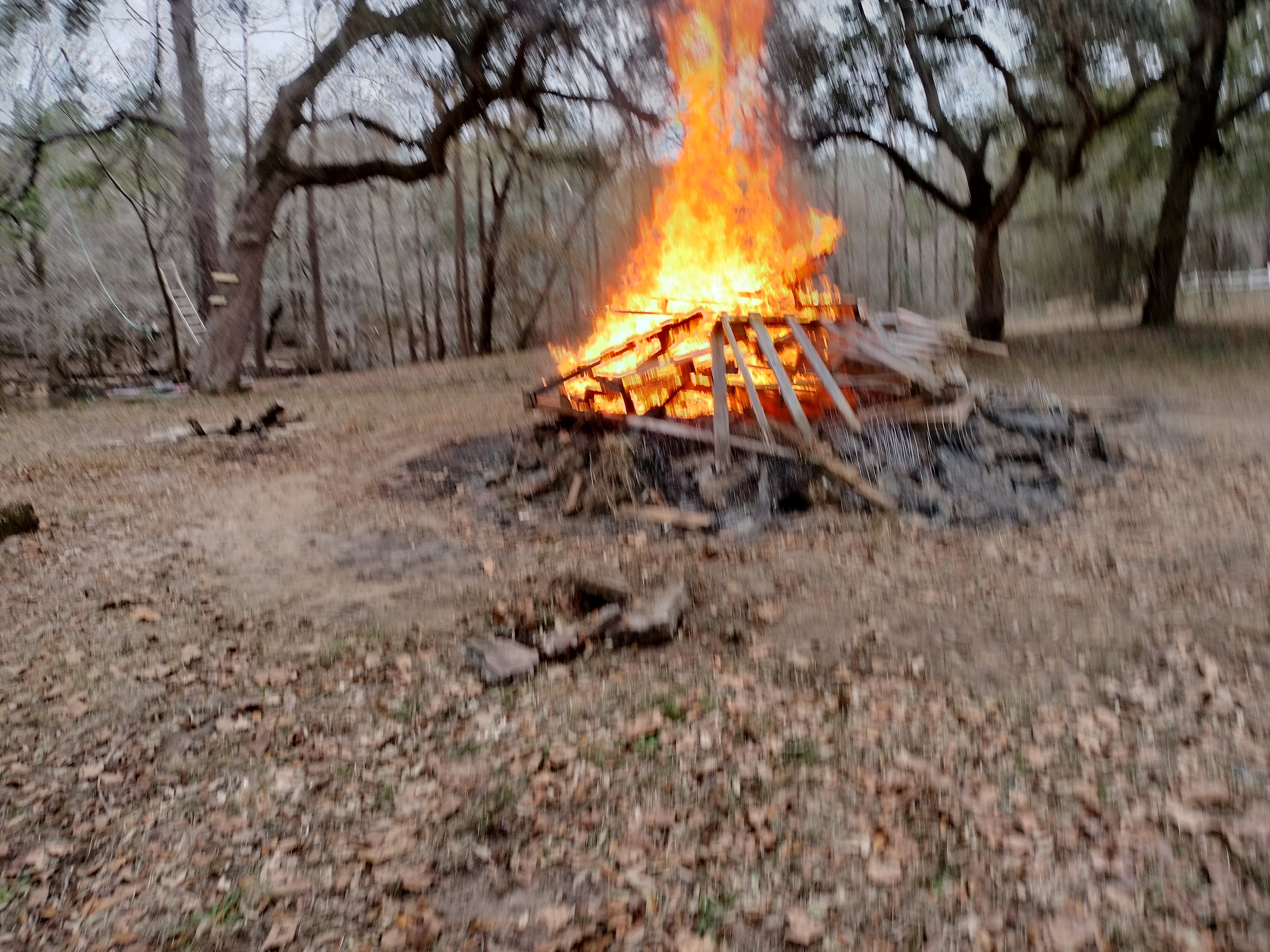 Back property River