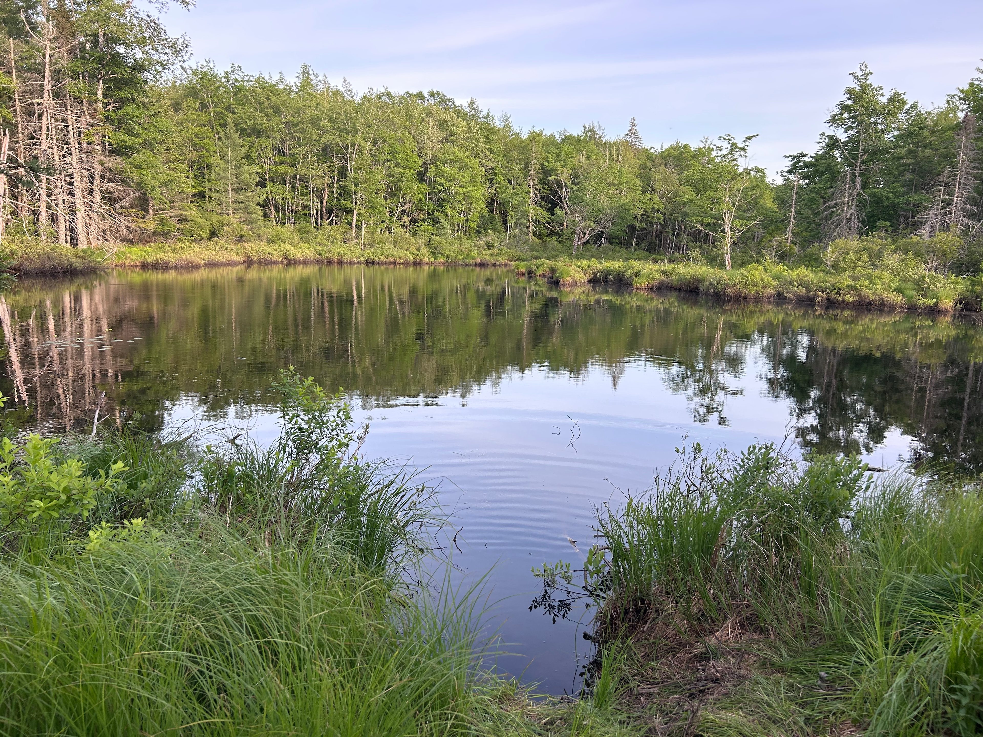 Take a stroll to the pond for some Serenity
