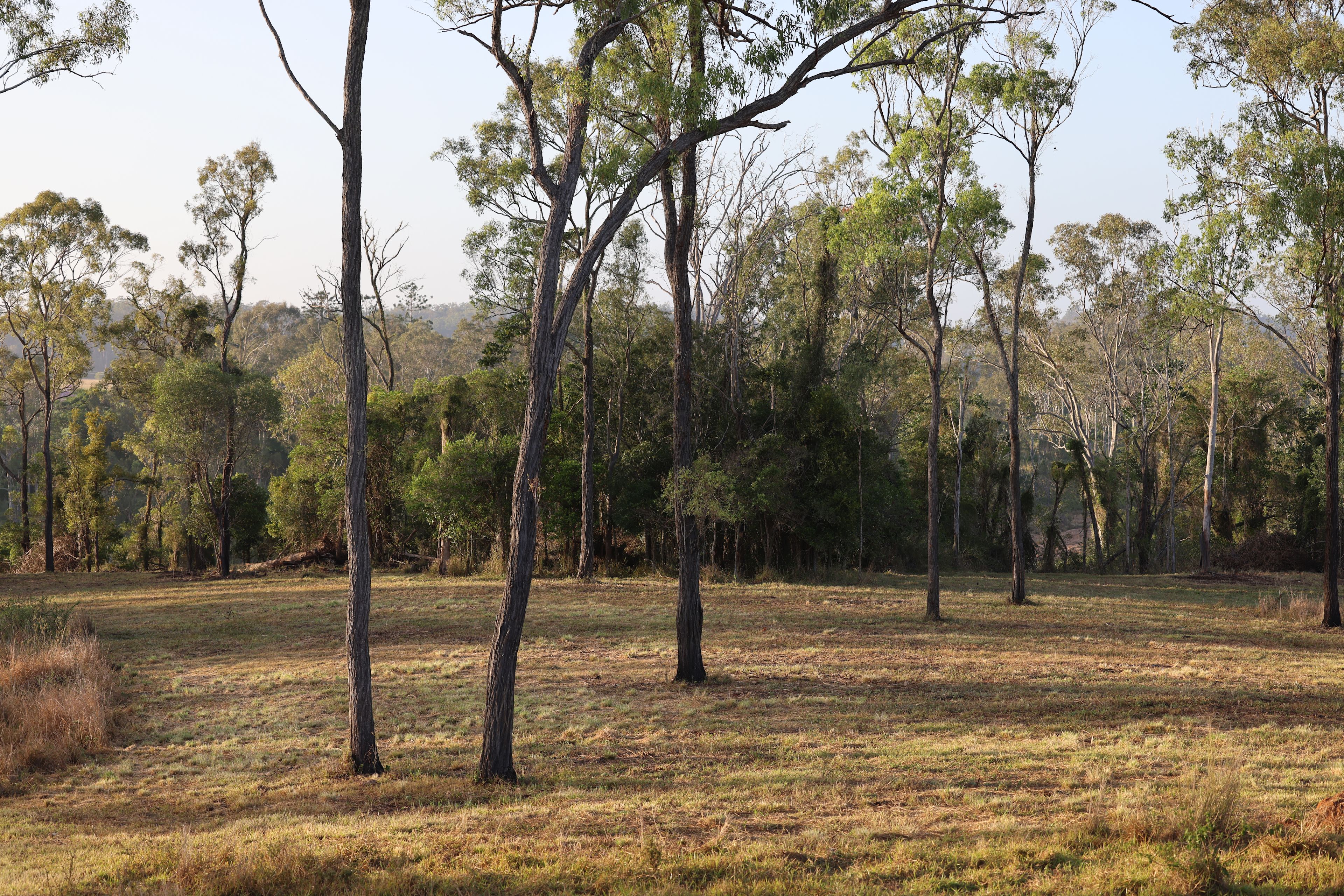 Burnett River Homestead