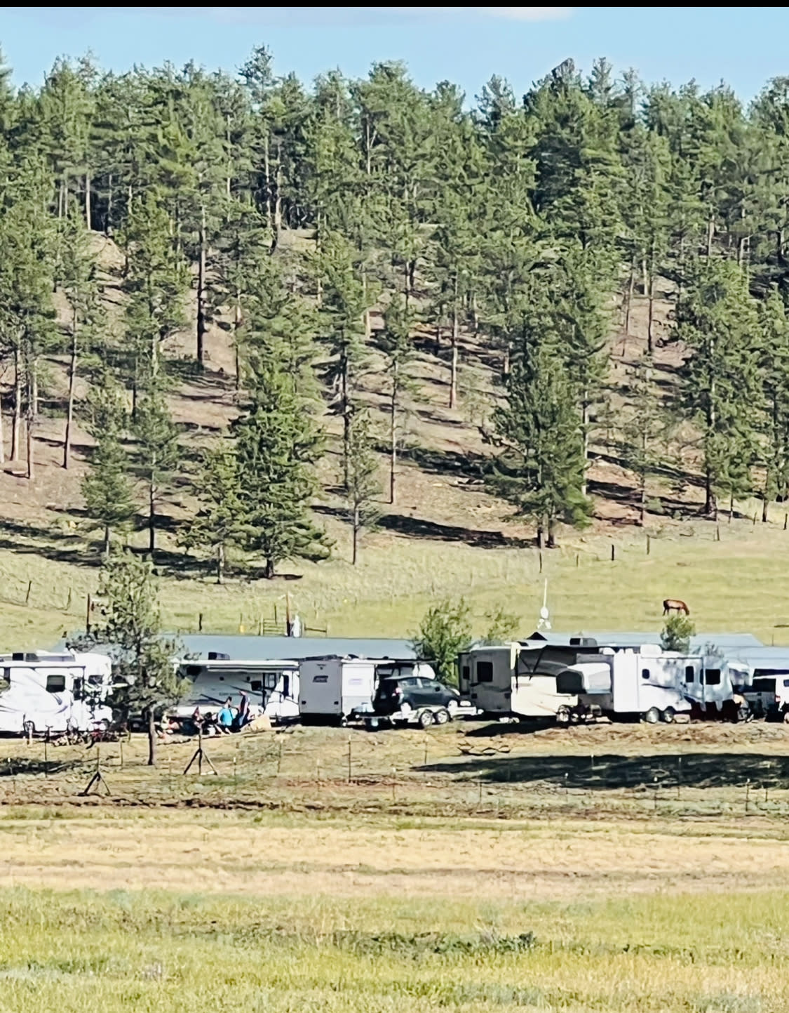 M Lazy C Ranch