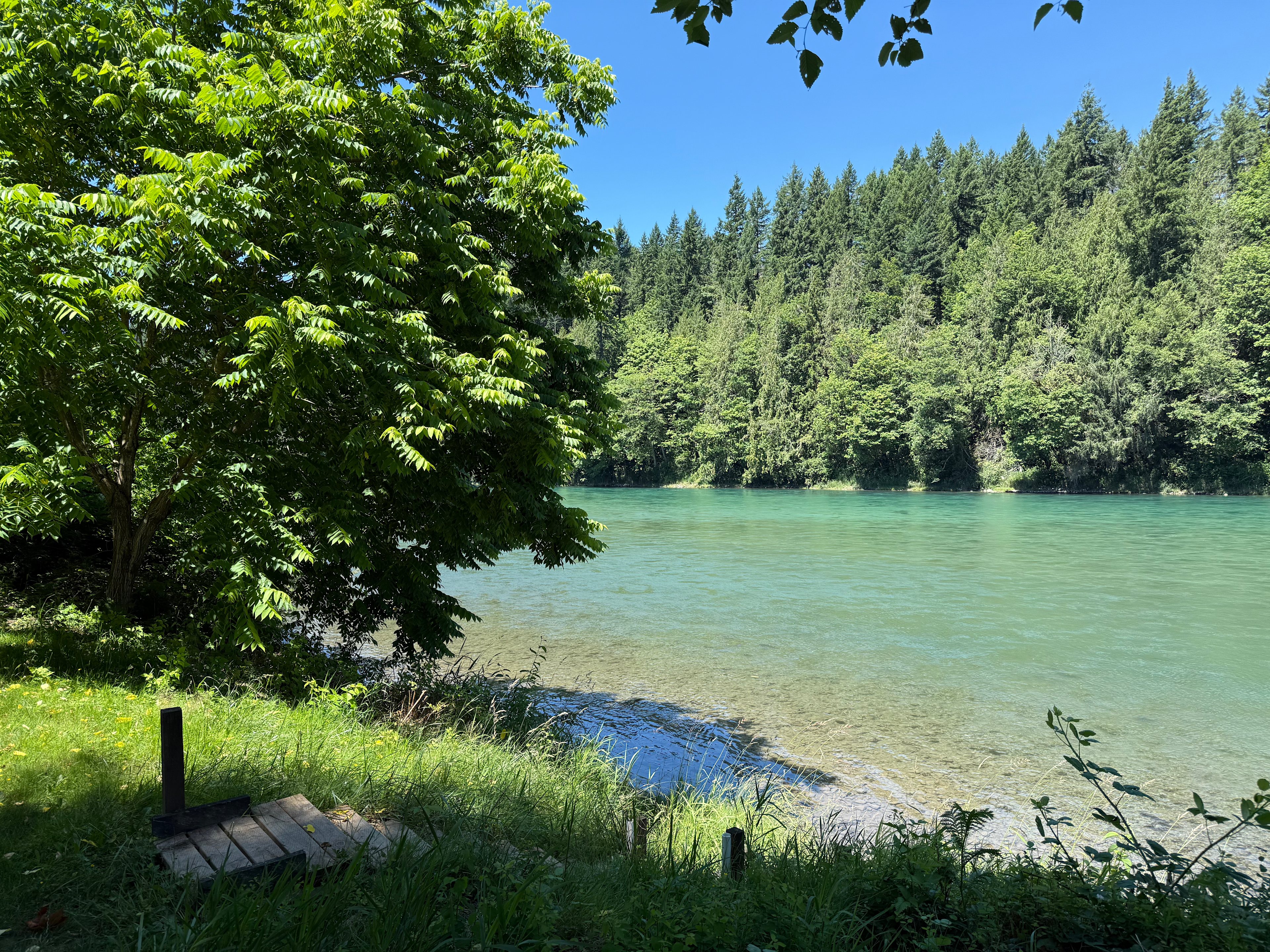 Eden West (New) Skagit River