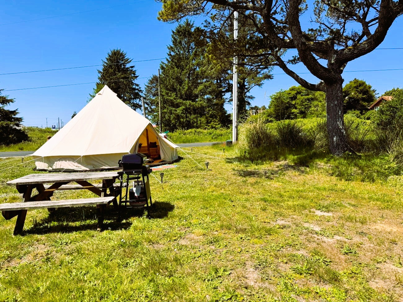 Moby's Pacific Beach Bell Tent