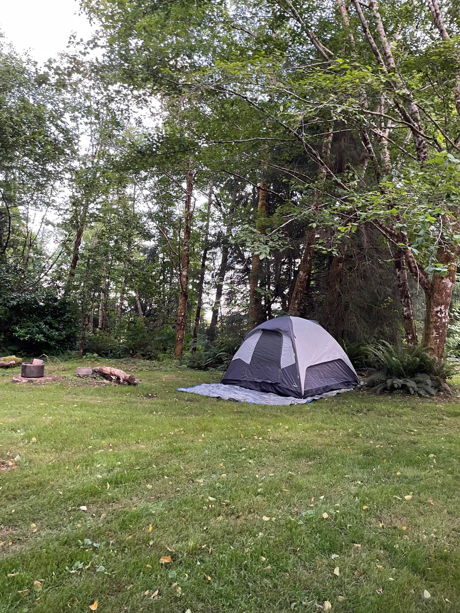Fly Inn And Camp