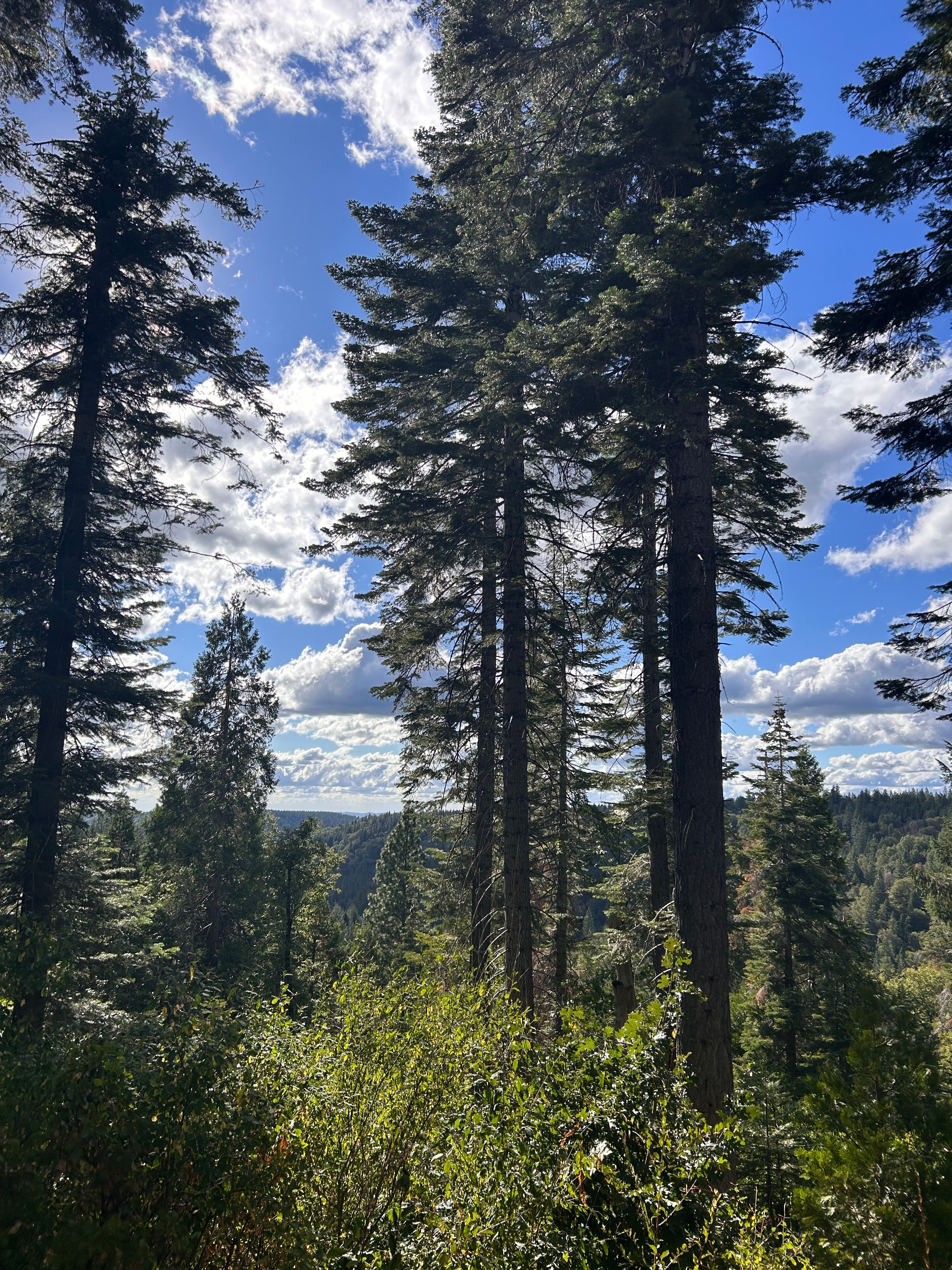 Mystic Ridge