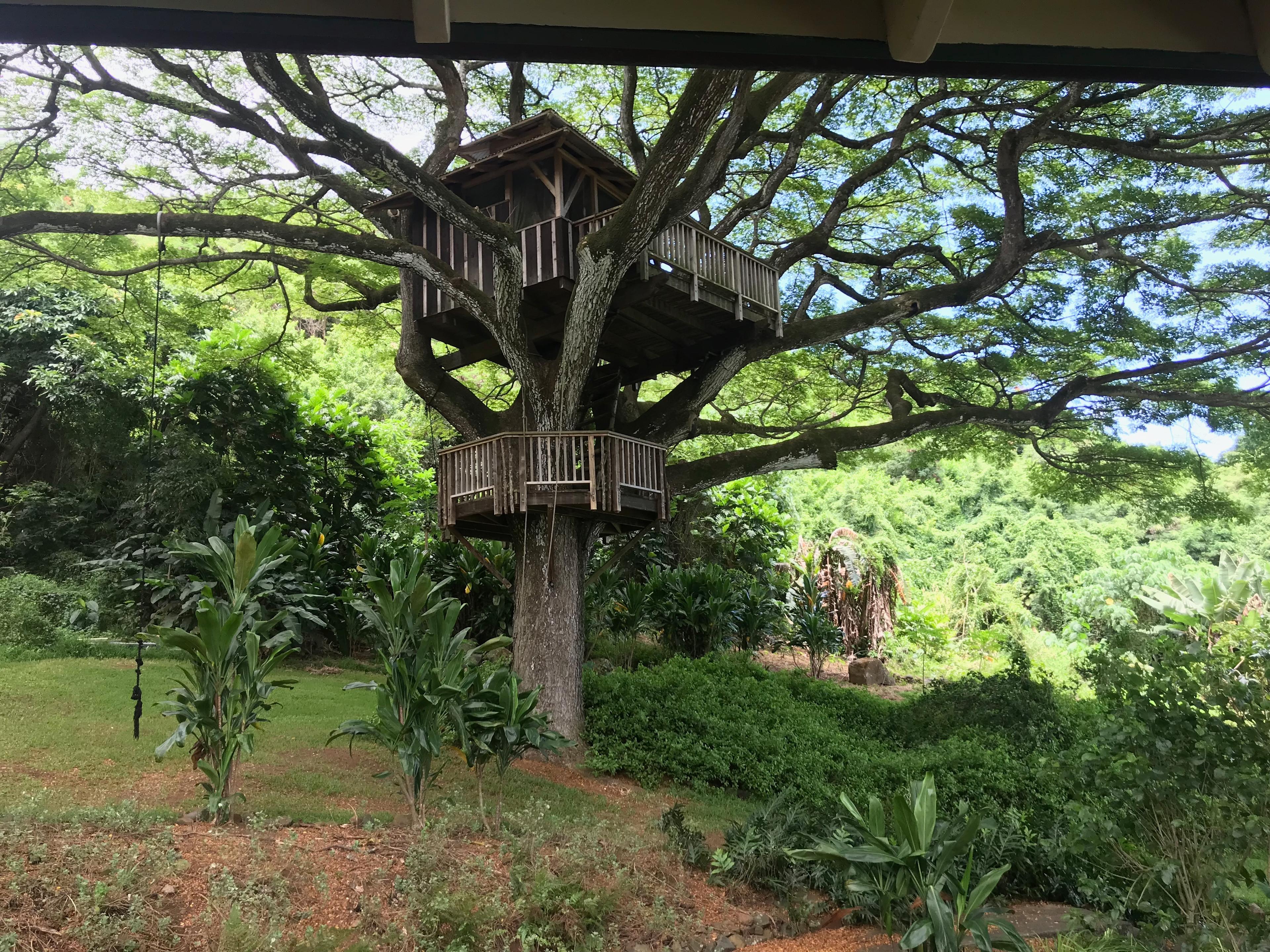 FABU Views on Jungle Farm/Treehouse