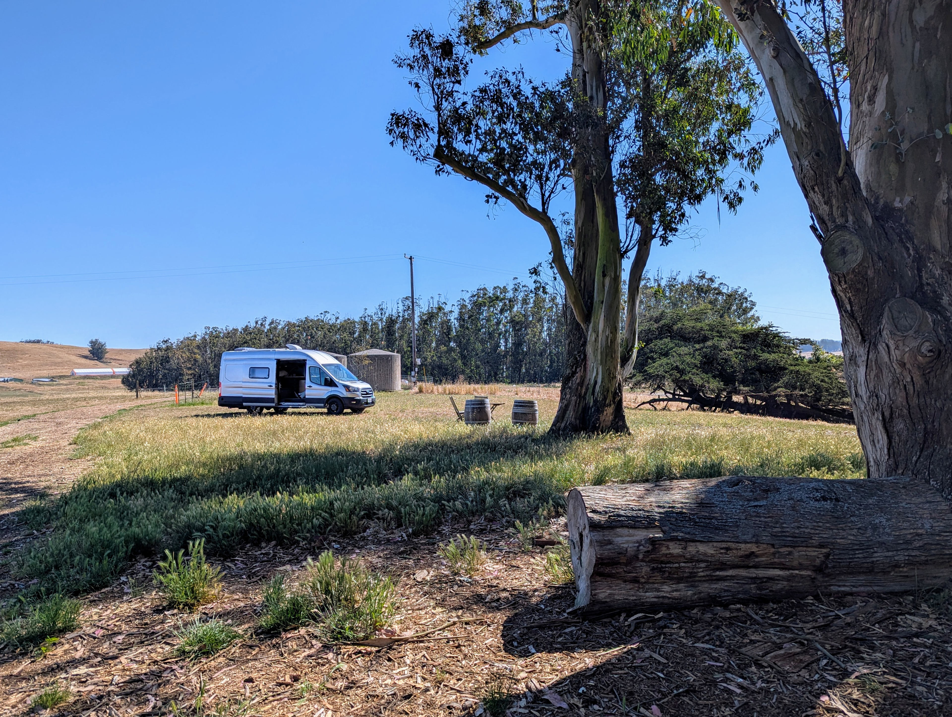 From the grove to site 2