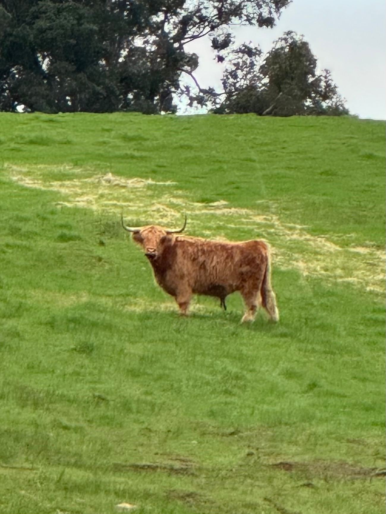 Sunset Ridge Camp Sites