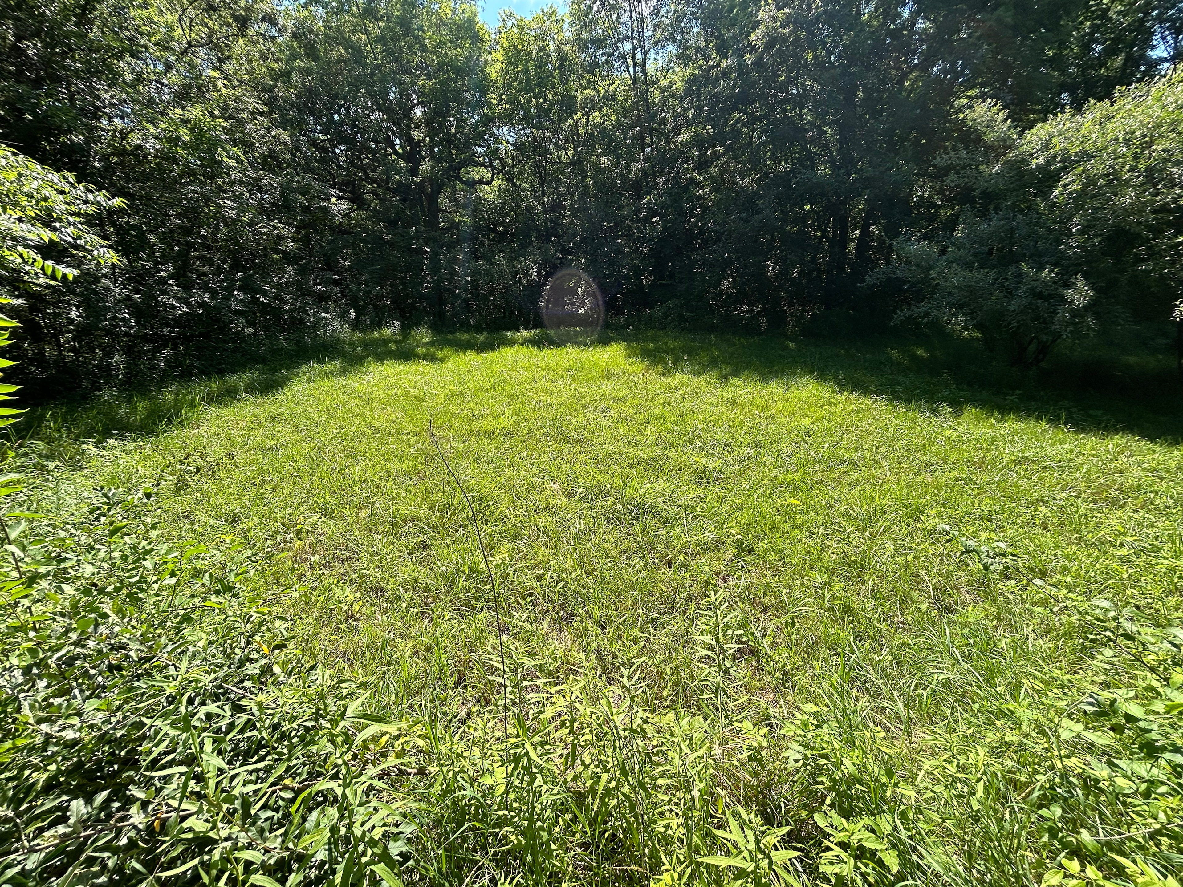 Wildlight Refuge