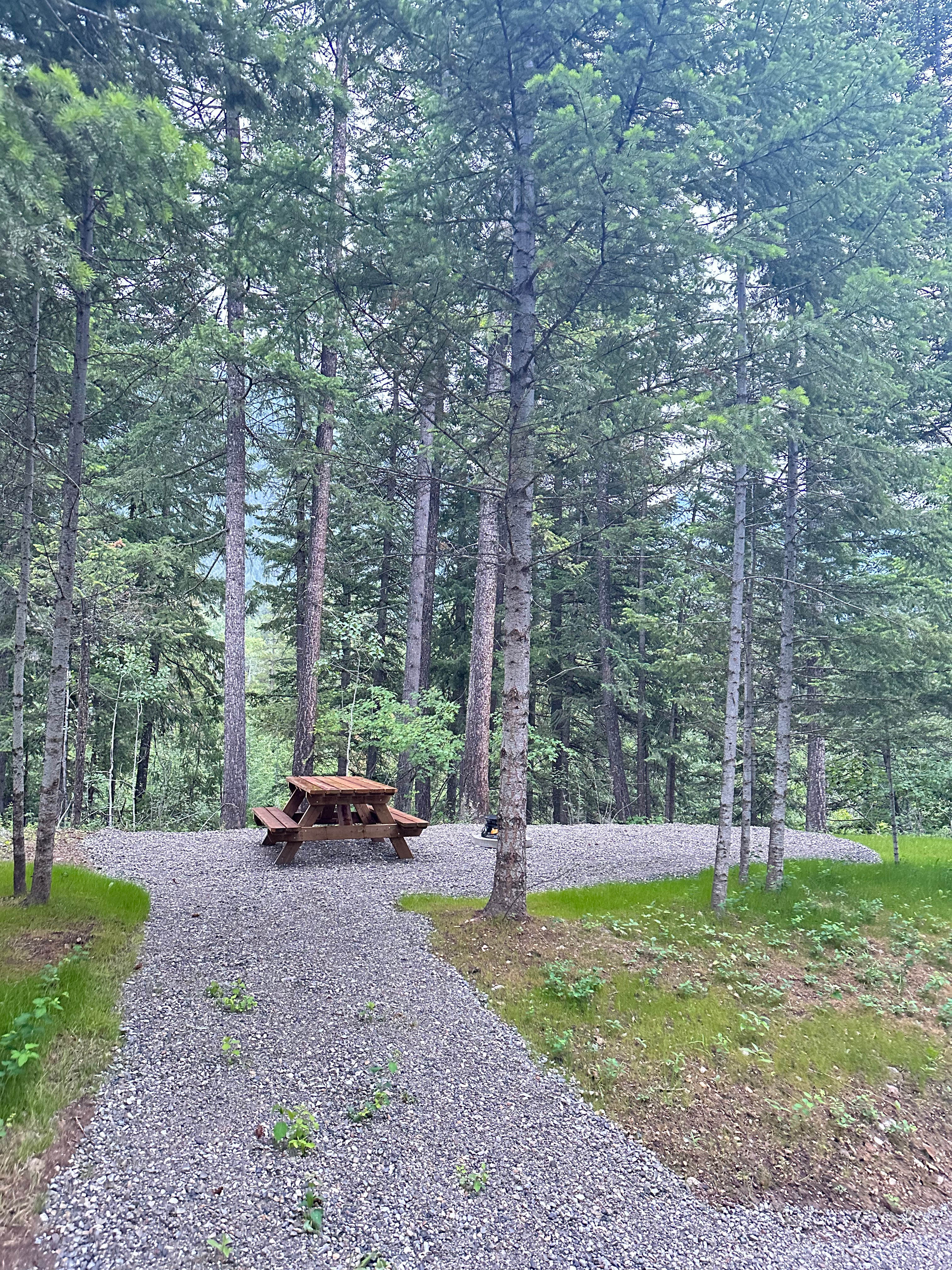 Hospital Creek Hideout