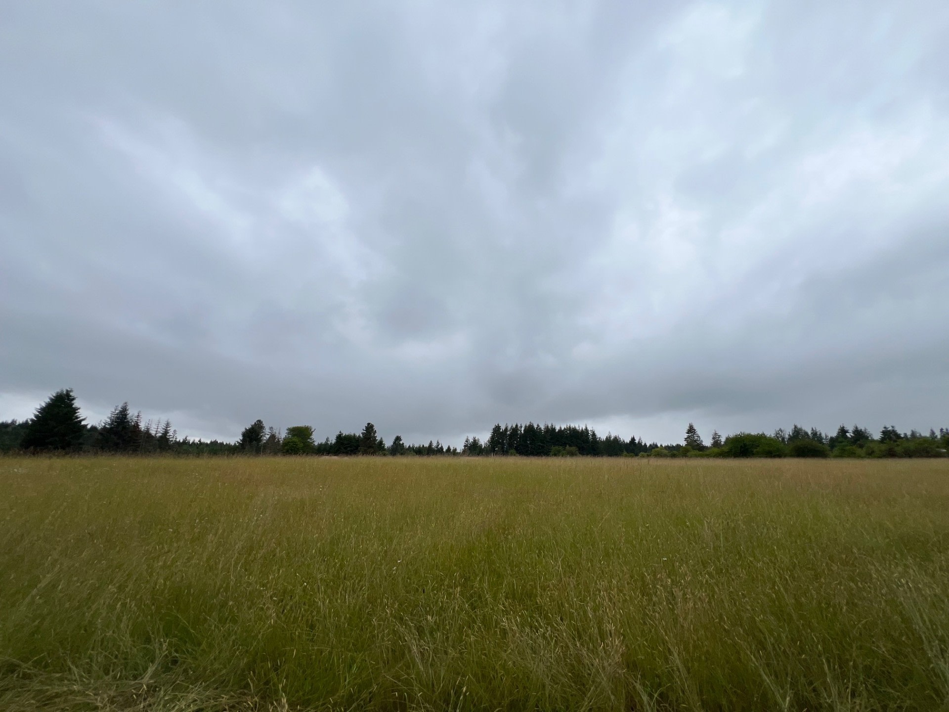 Group Camp, Pickleball and Hiking