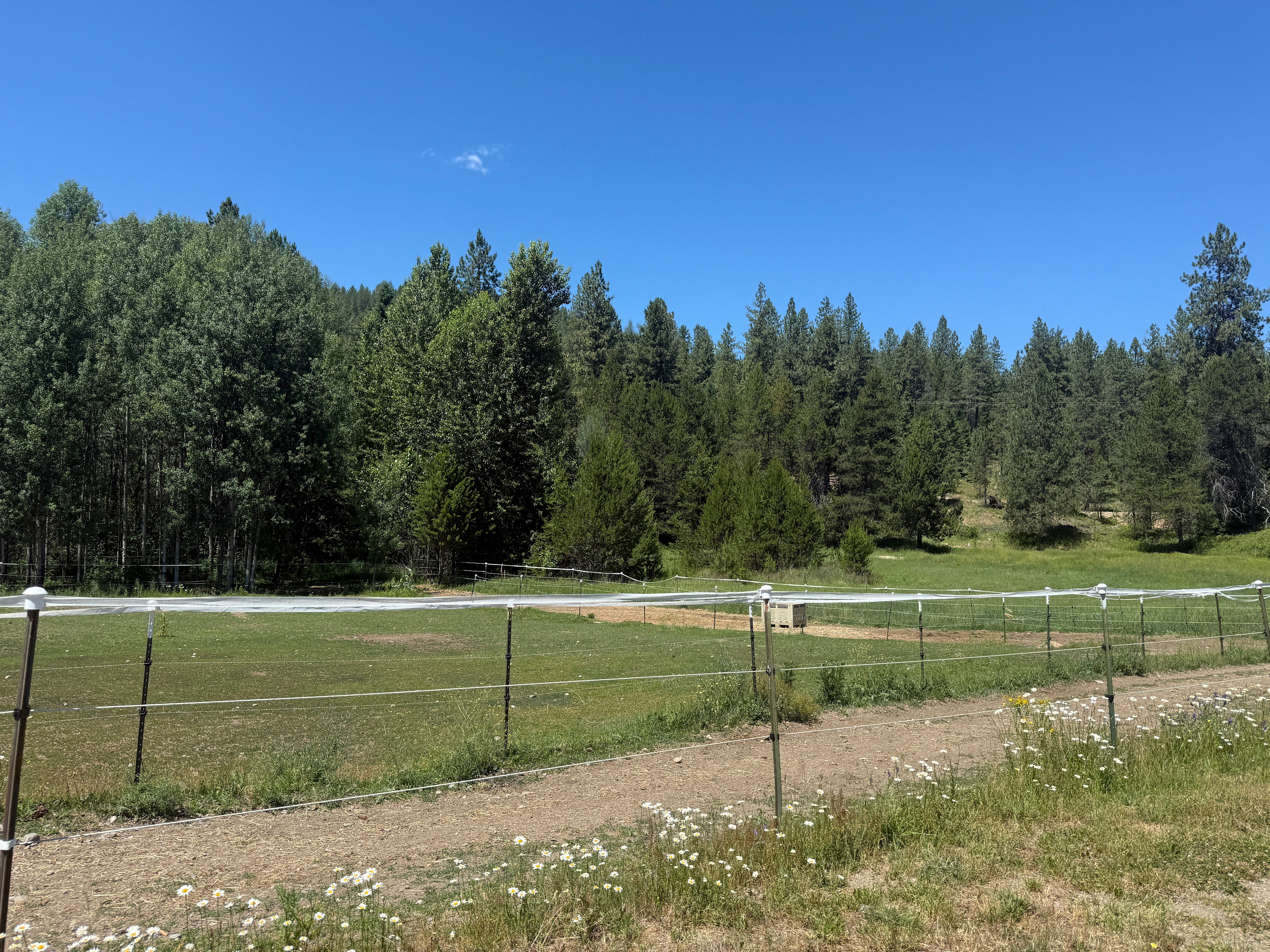 Horseplay Haven and Glamping Escape