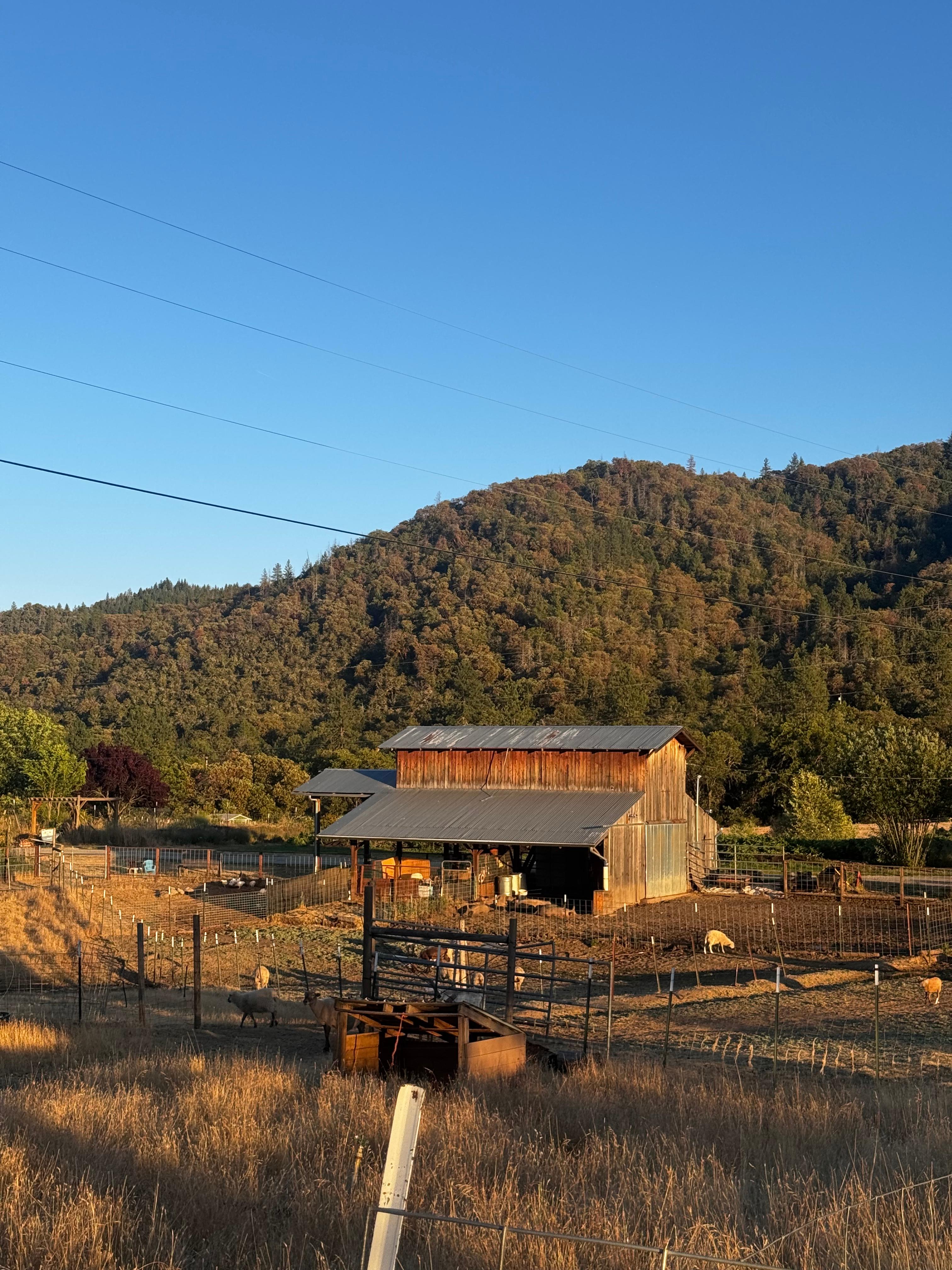 Farm