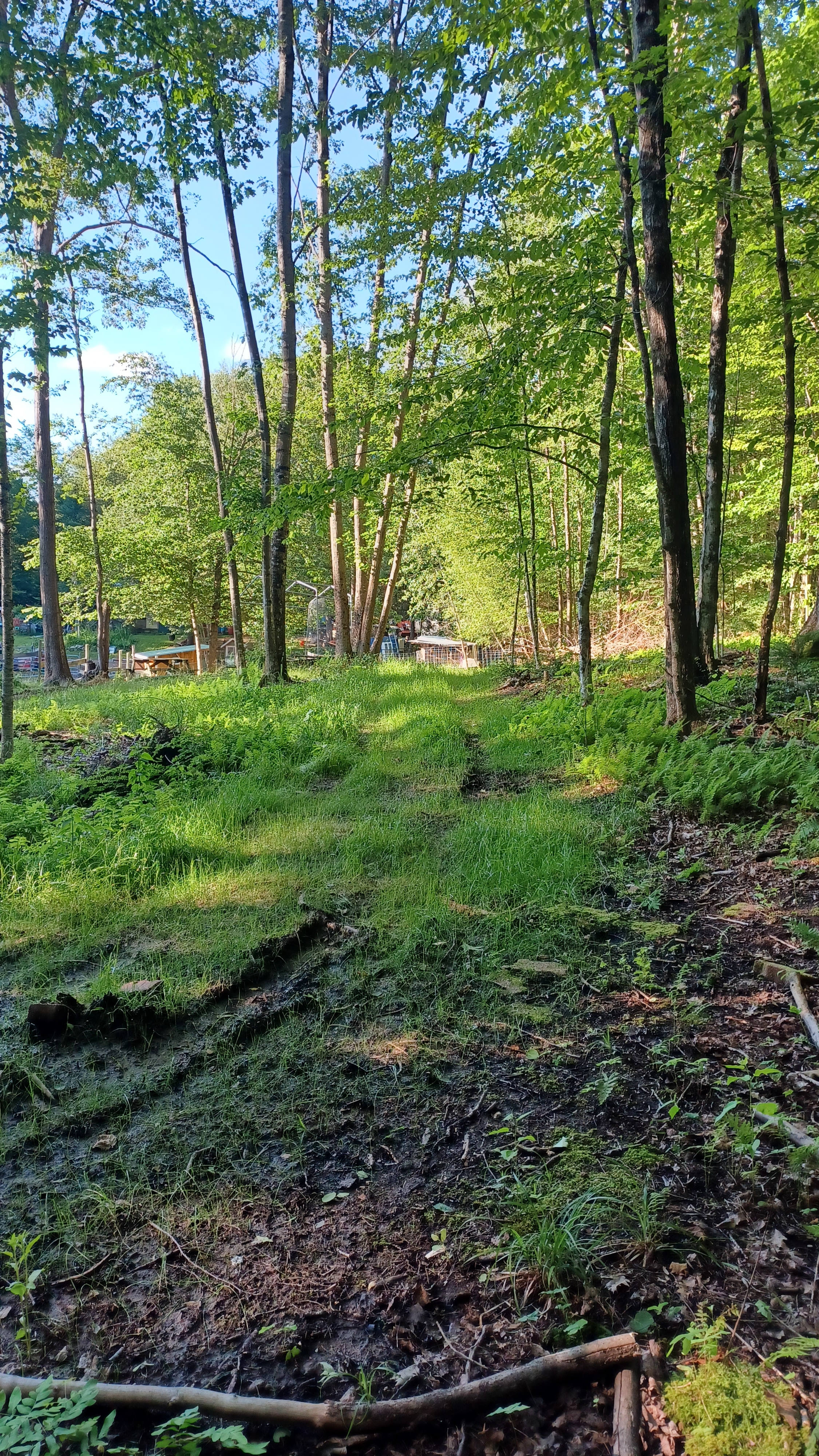 Off Grid Farm on Thurman Road