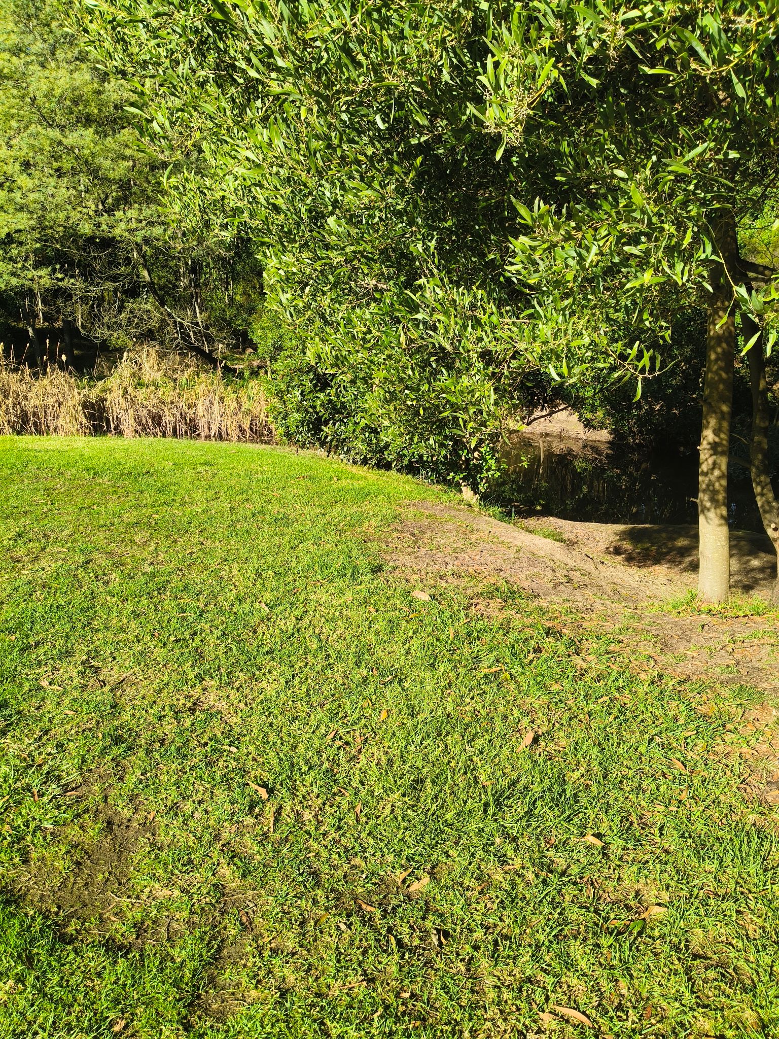 Glen Cromie Reserve Caravan Park
