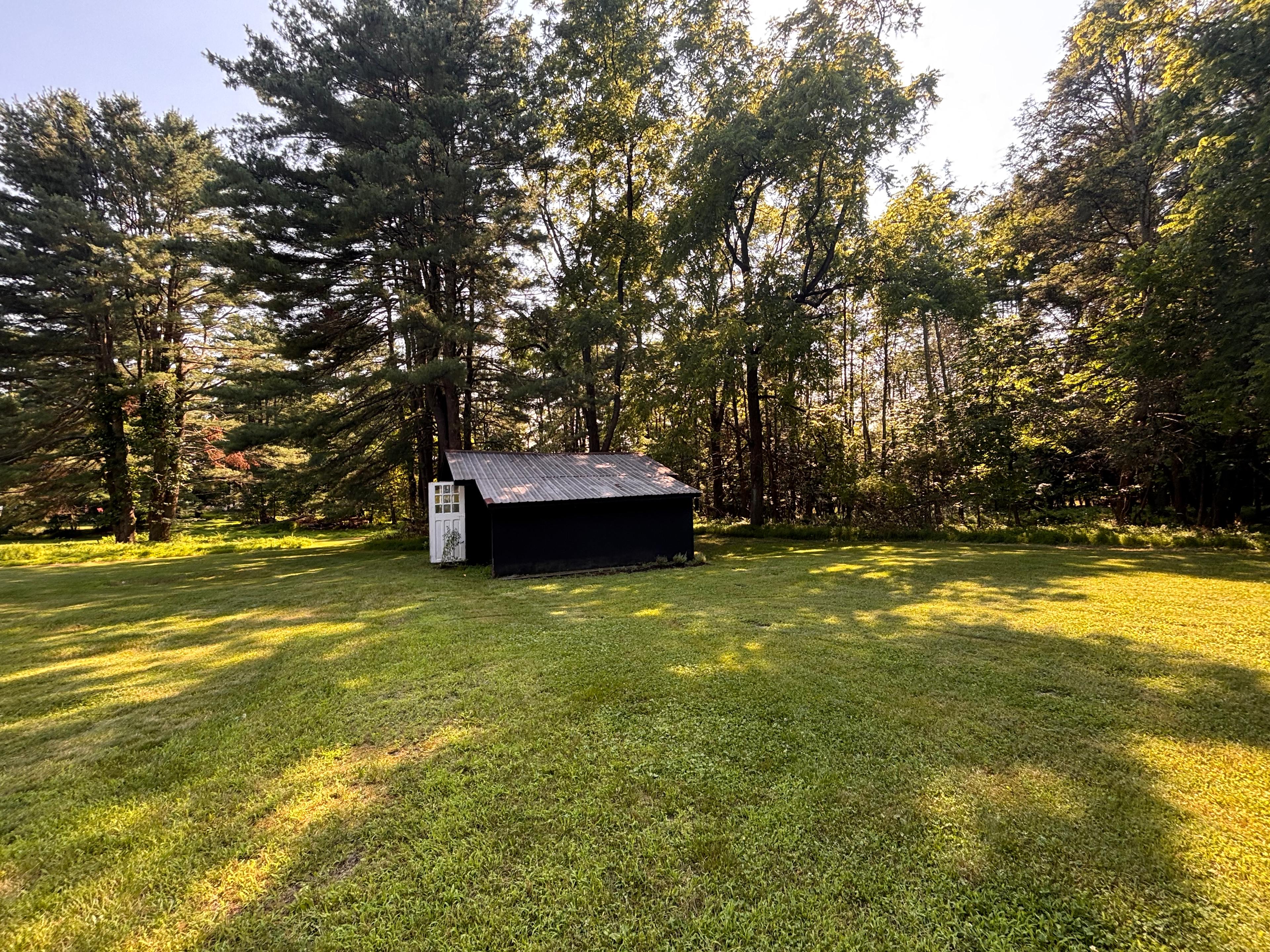 The Meadow near Ricketts Glen