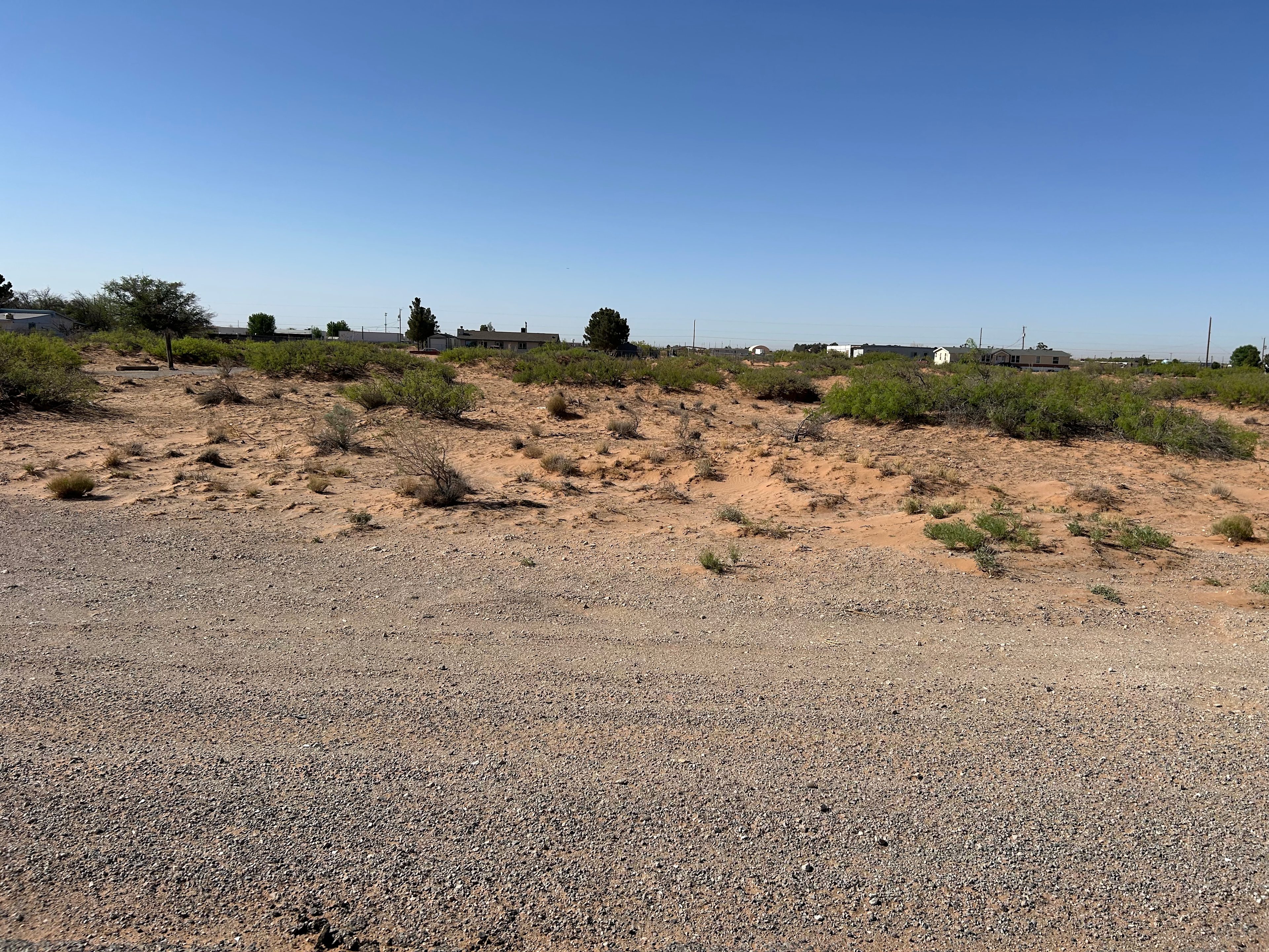 Red Sands Wild
