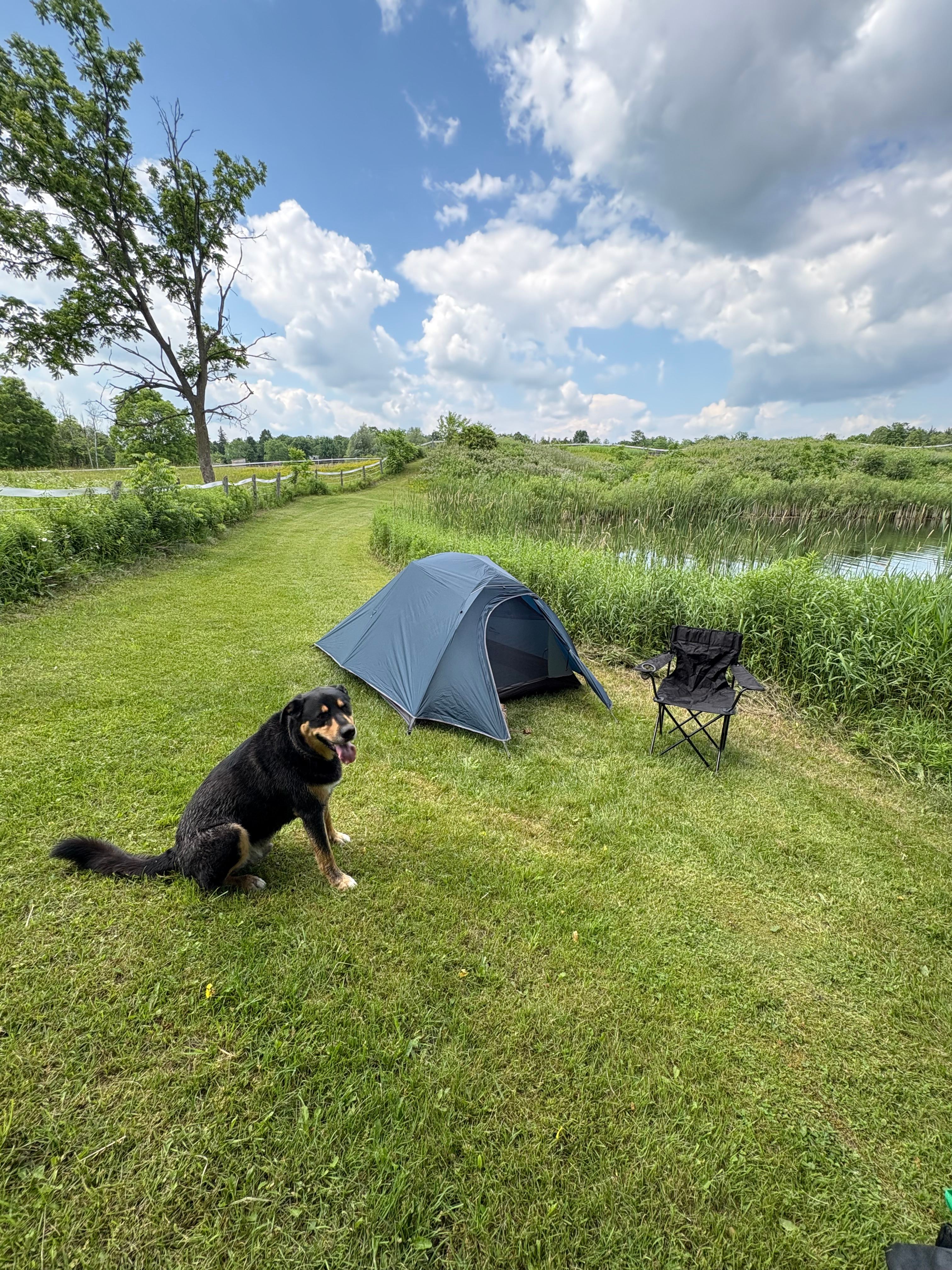 We set up on the opposite side to the dock. A bit more privacy behind the trees 