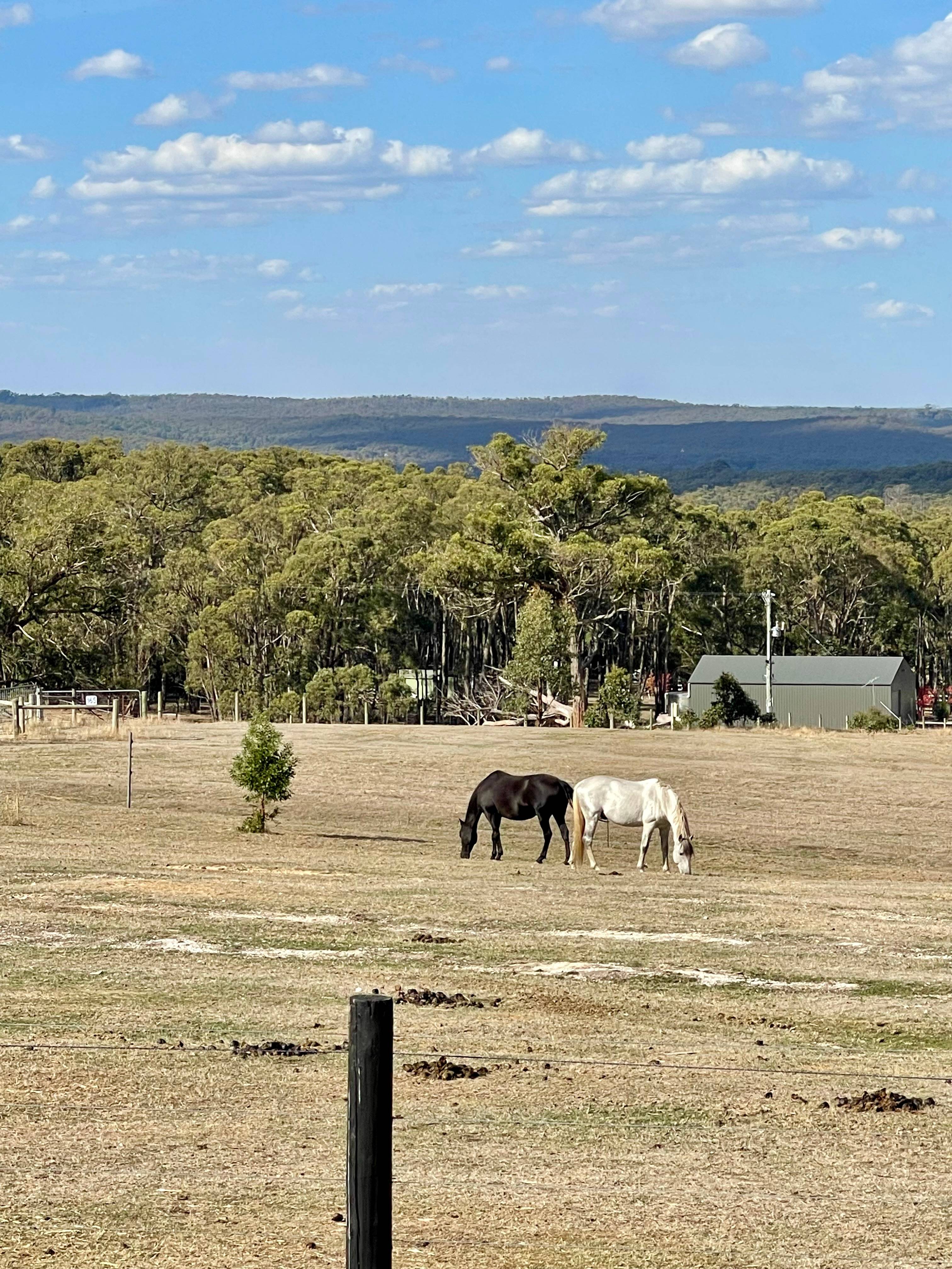 QD equestrian centre