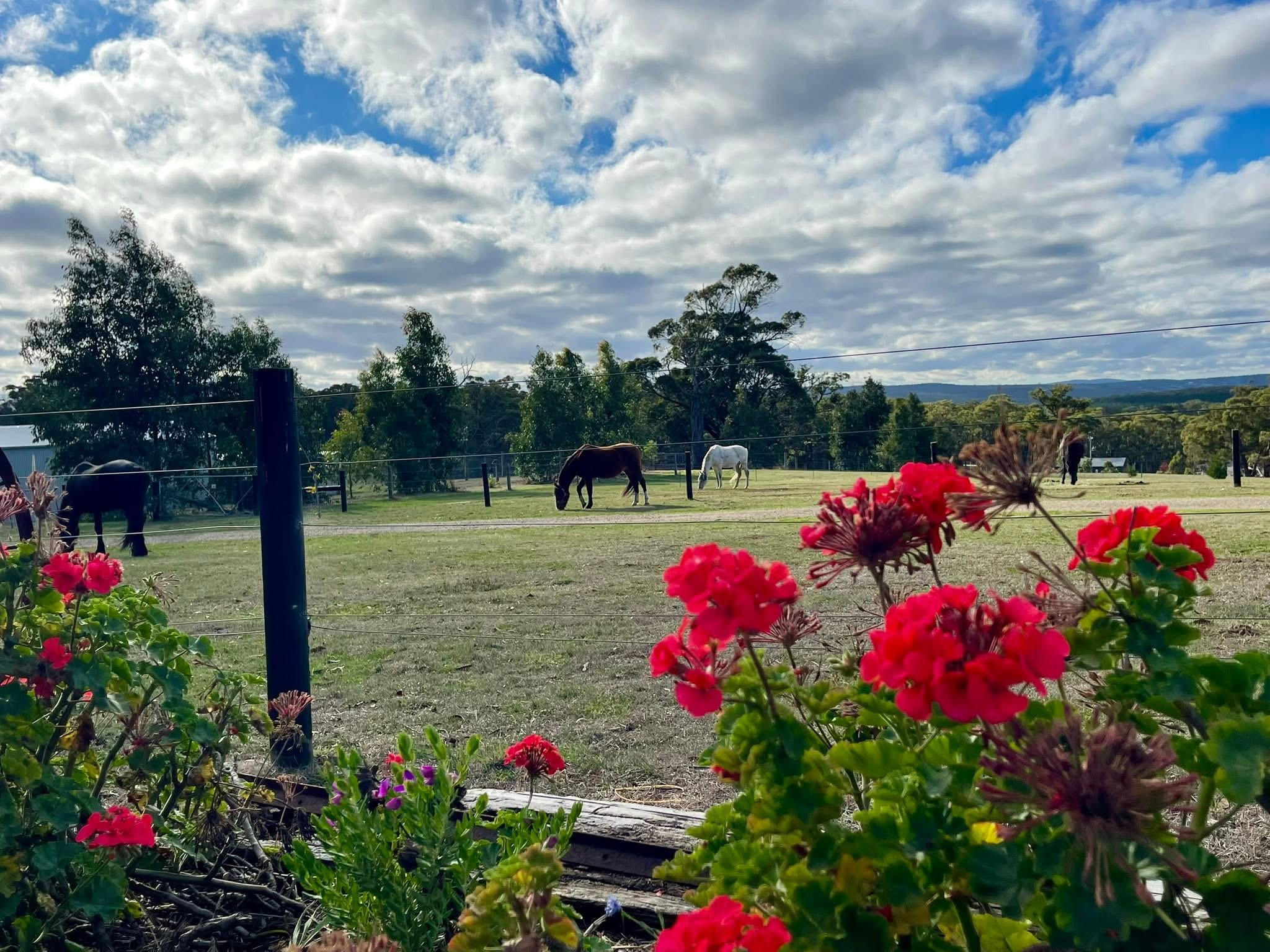 QD equestrian centre