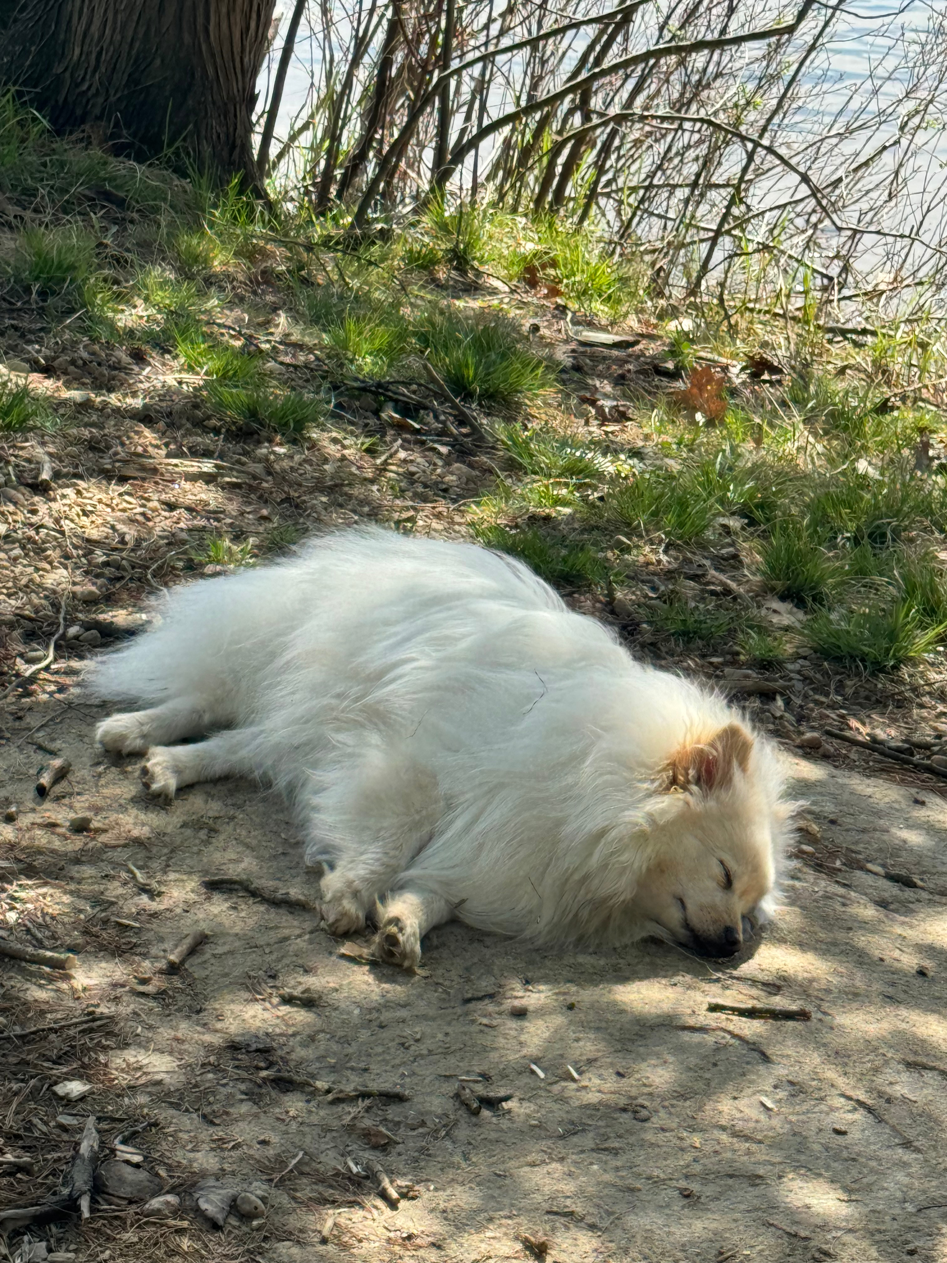 Domaine Lockbøw | Private Waterfall