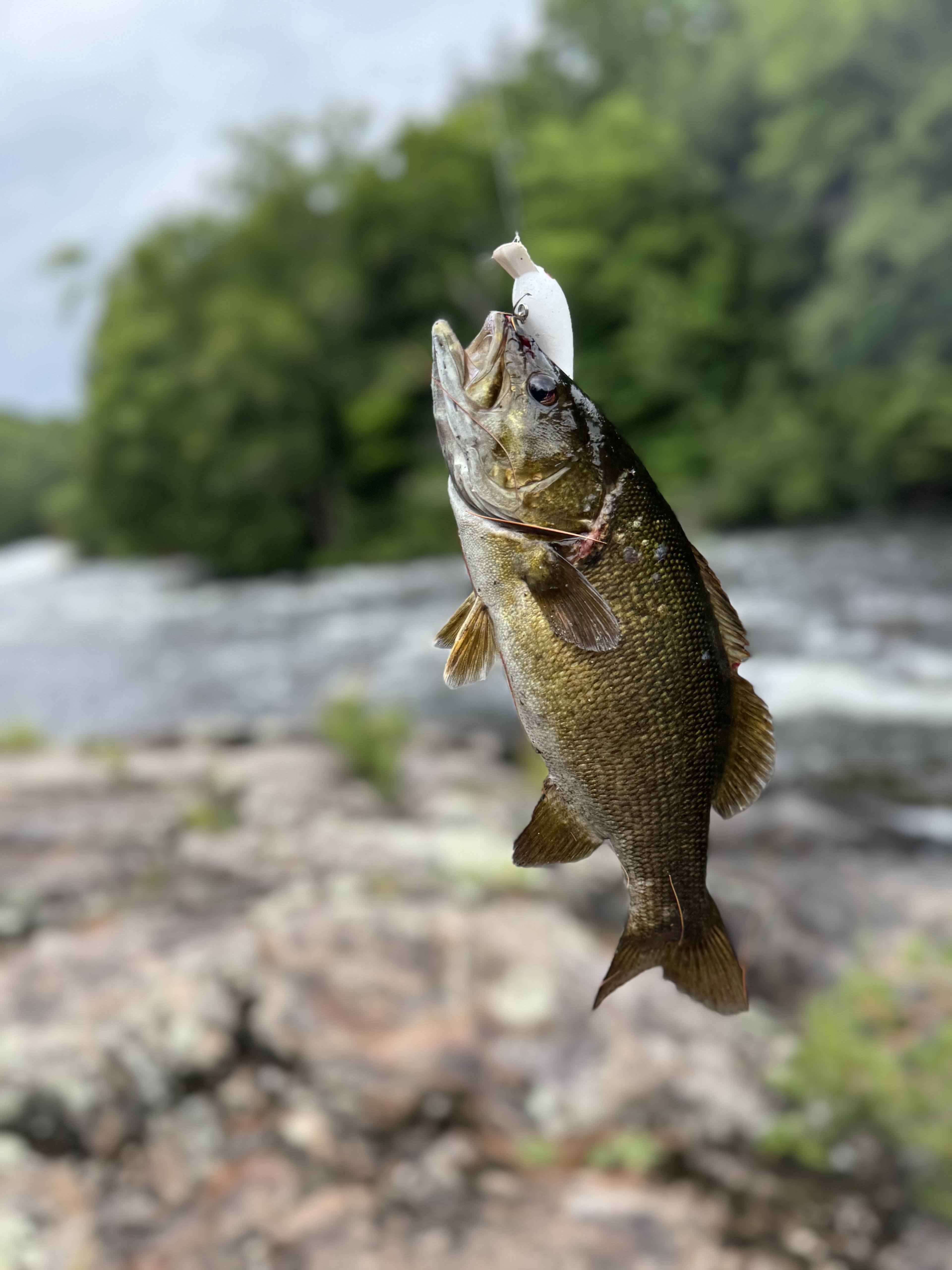 Domaine Lockbøw | Private Waterfall