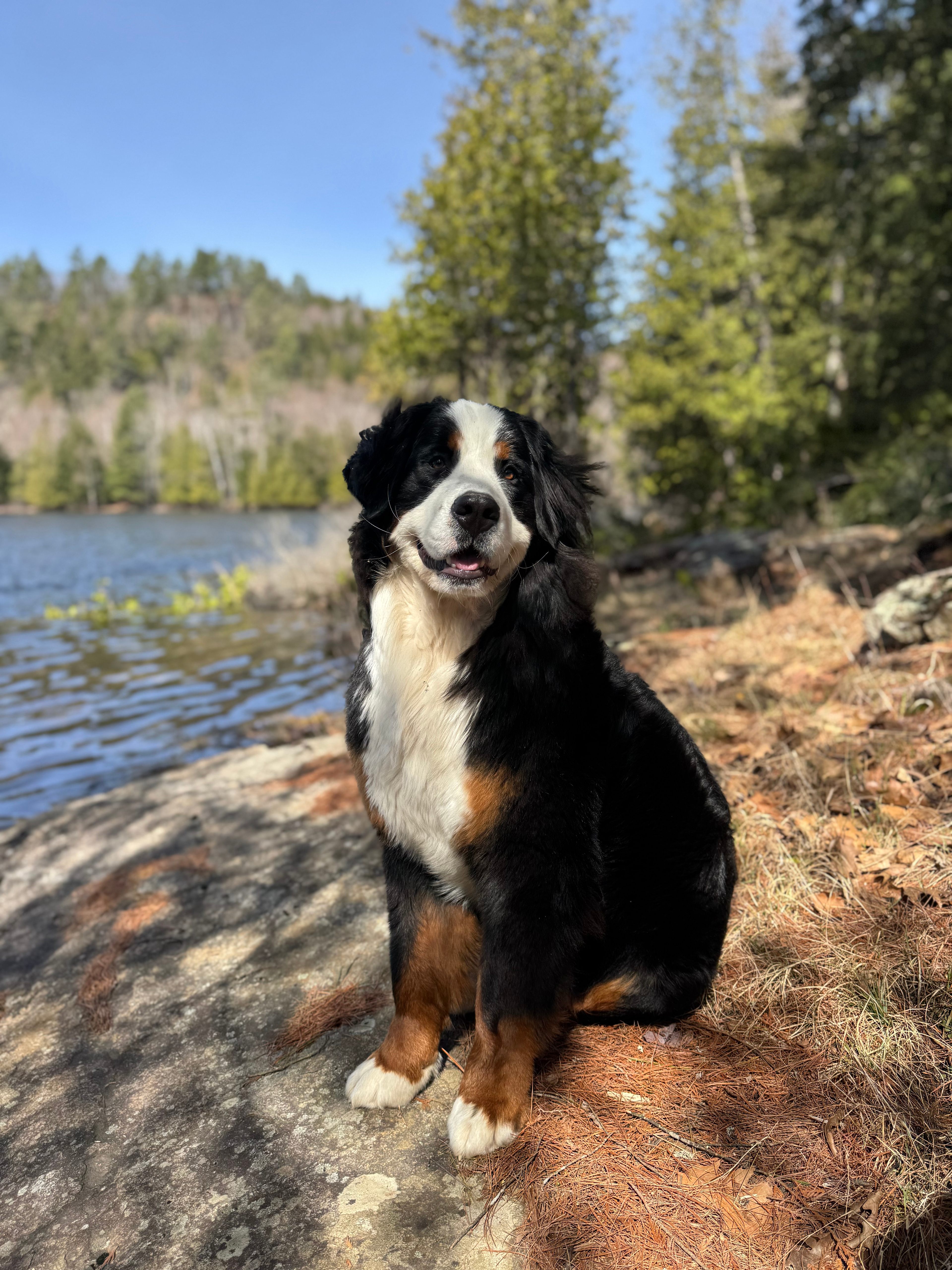 Domaine Lockbøw | Private Waterfall