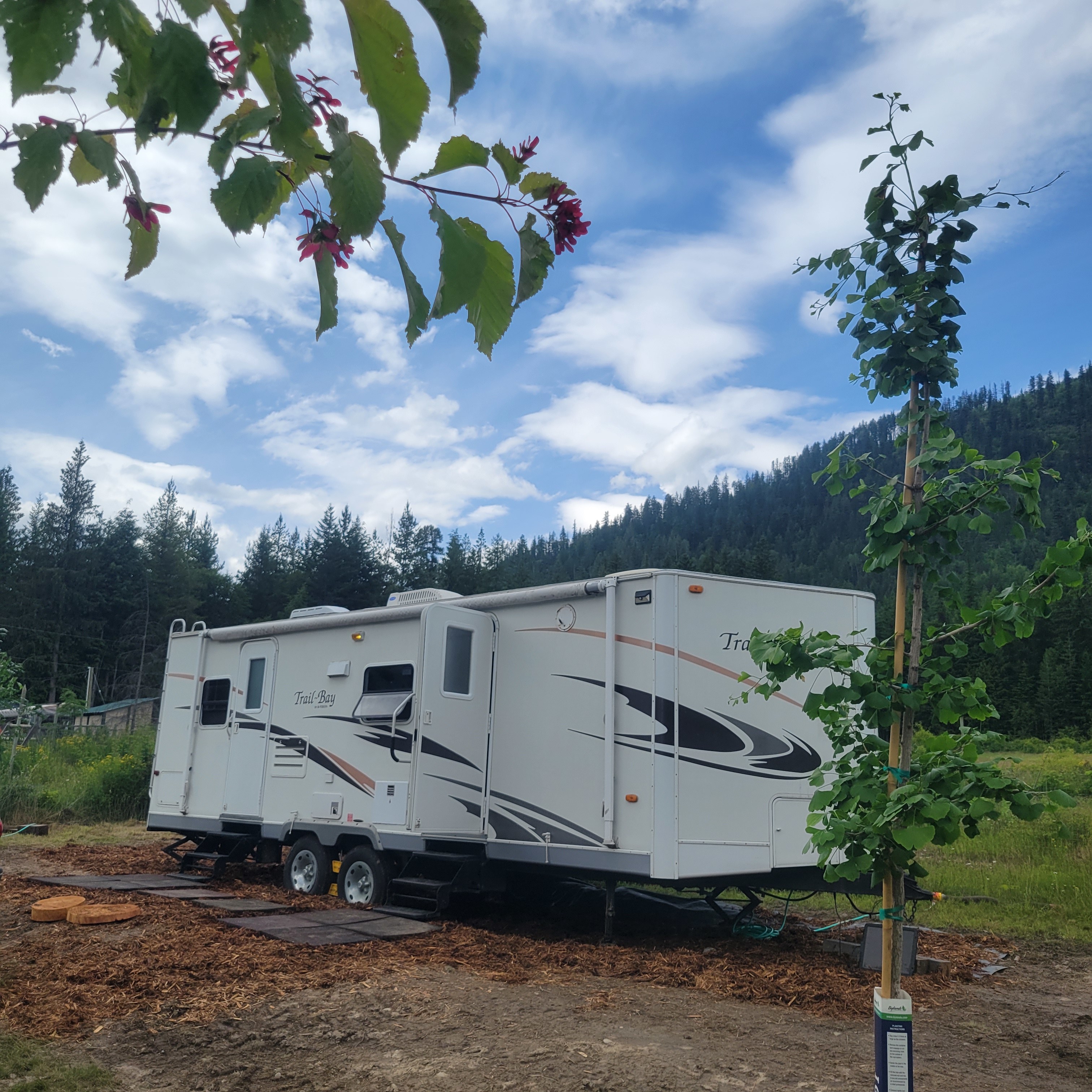 Kootenay born camping by Arrow lake