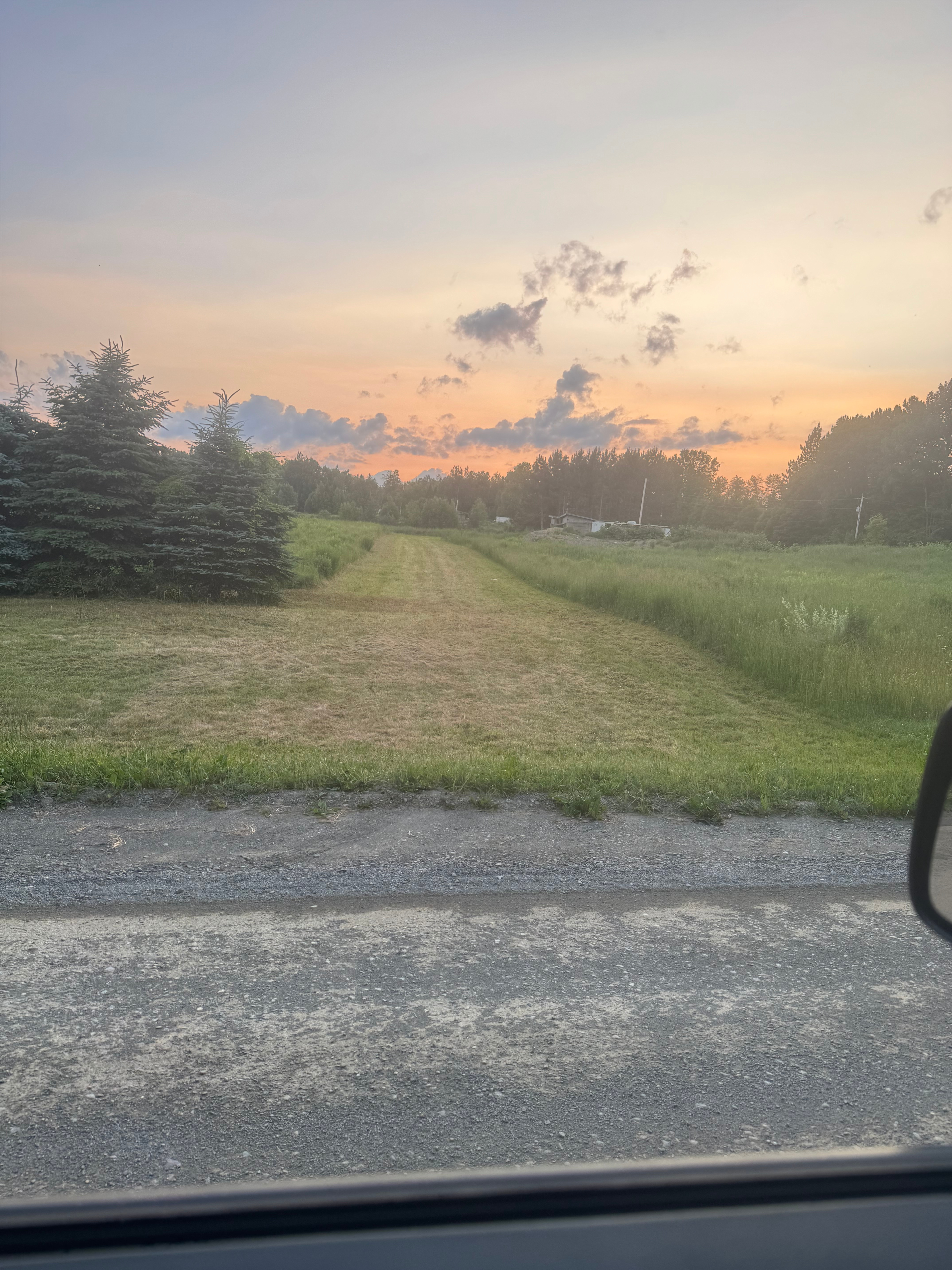 Wandering Moose Homestead
