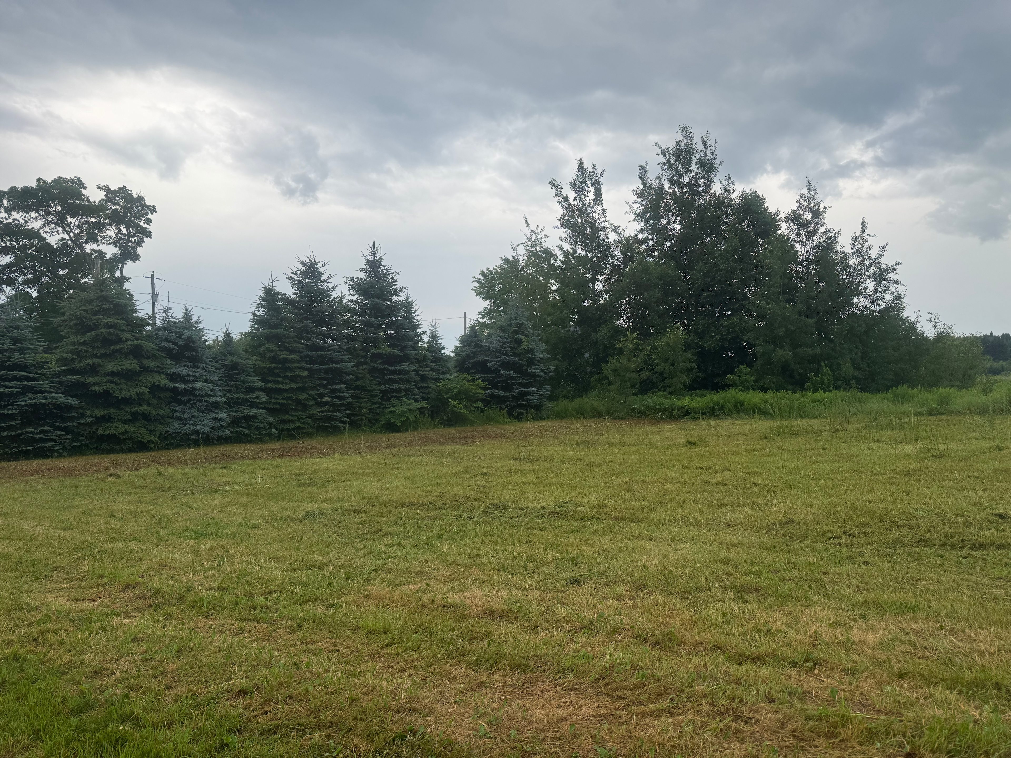 Wandering Moose Homestead