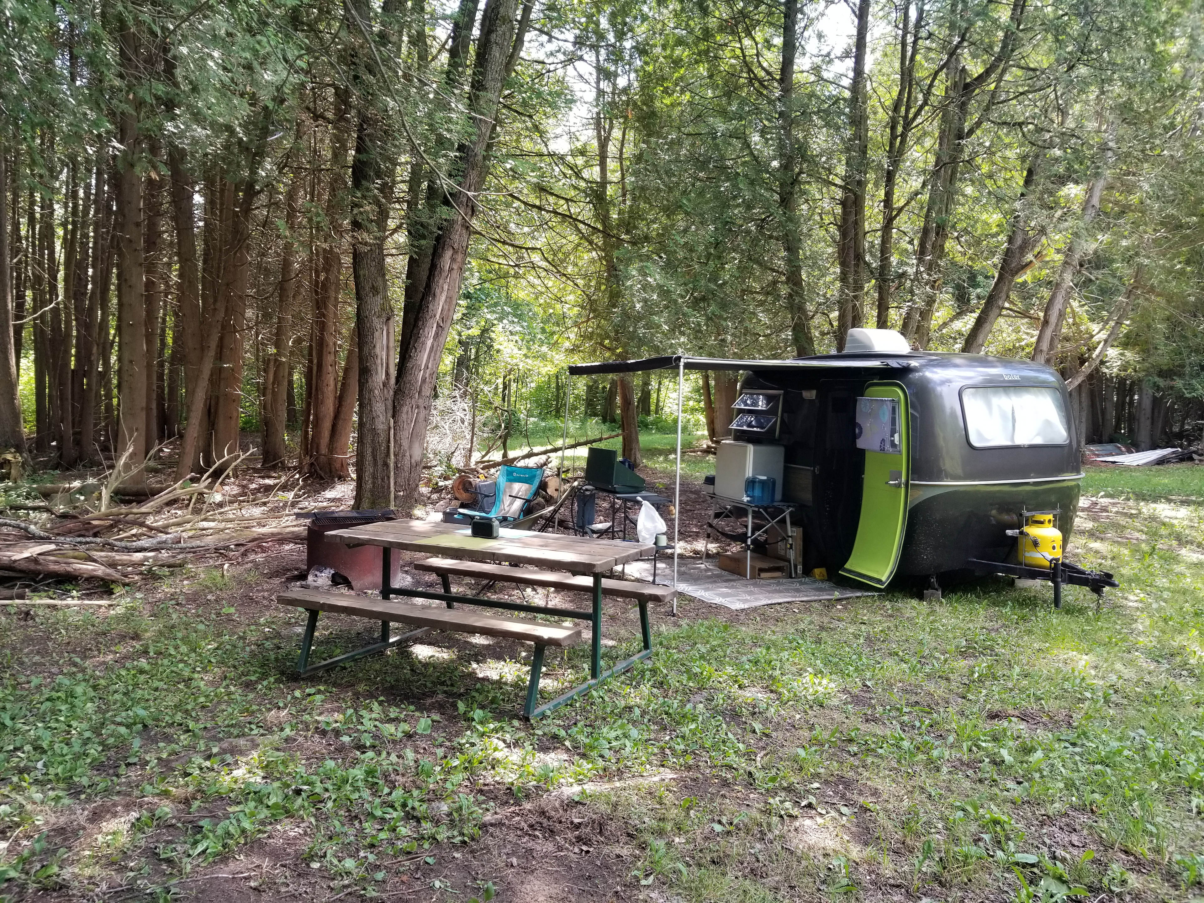 Cedar fox Farm