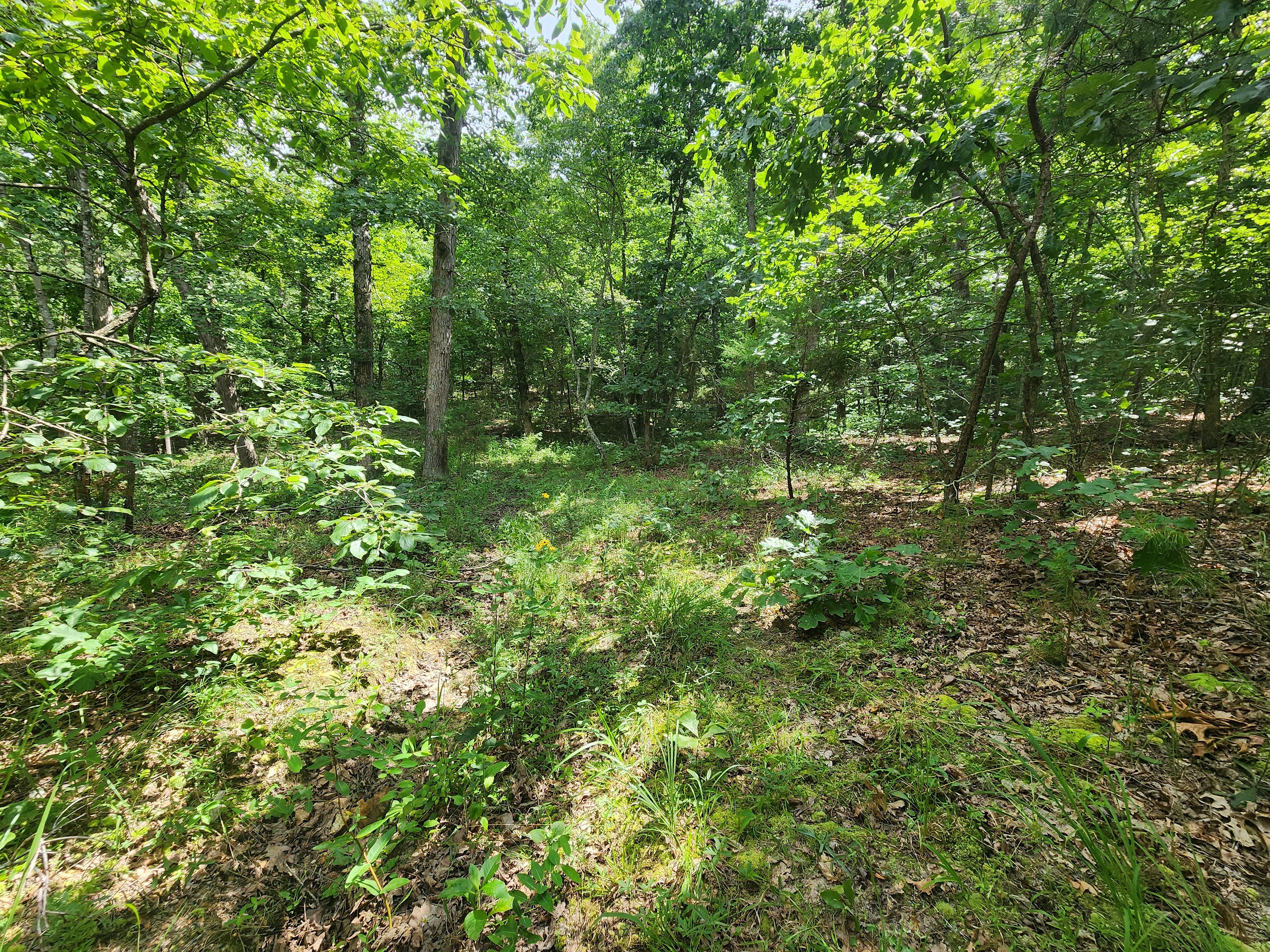Dotson acres